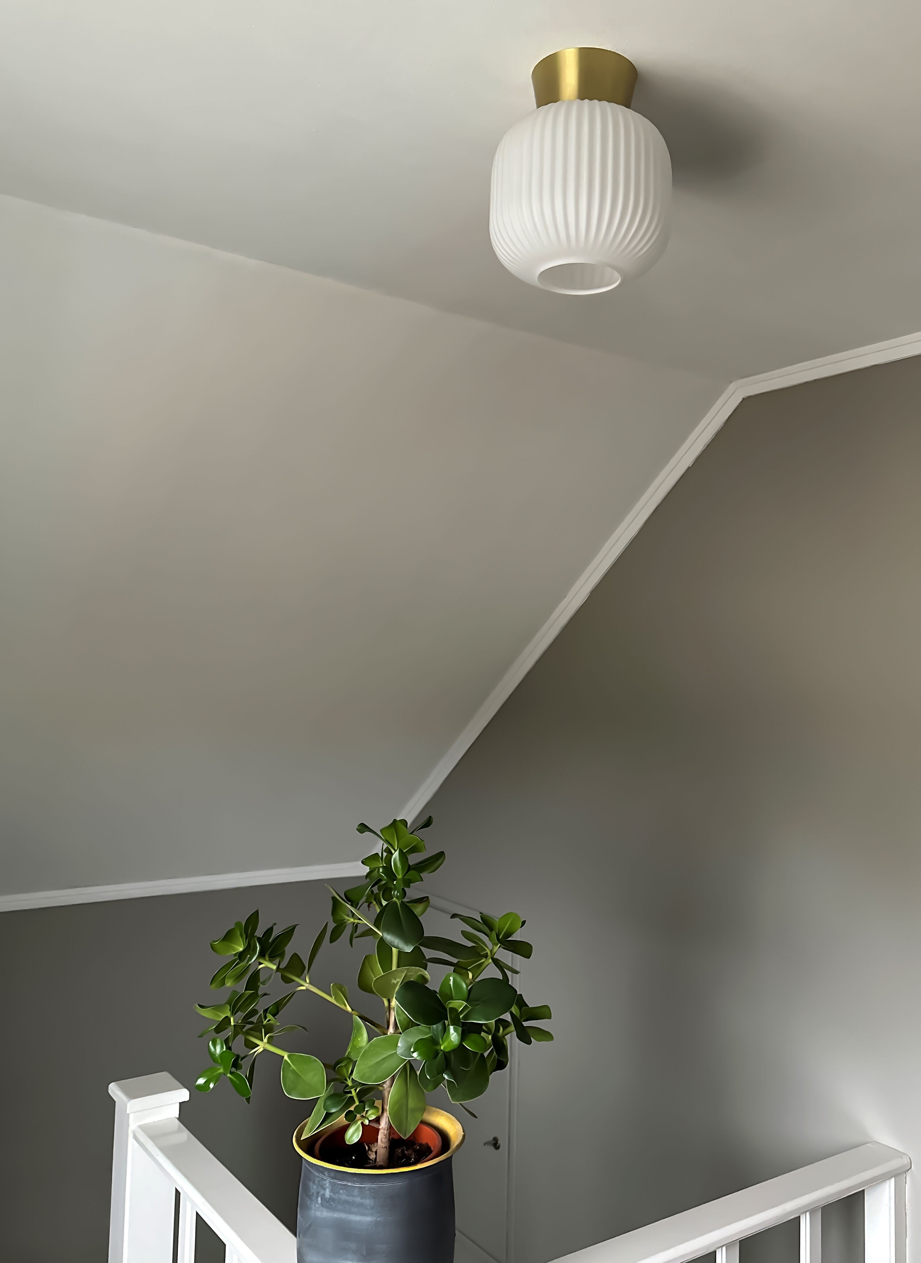 Aneta Home VANJA plafond