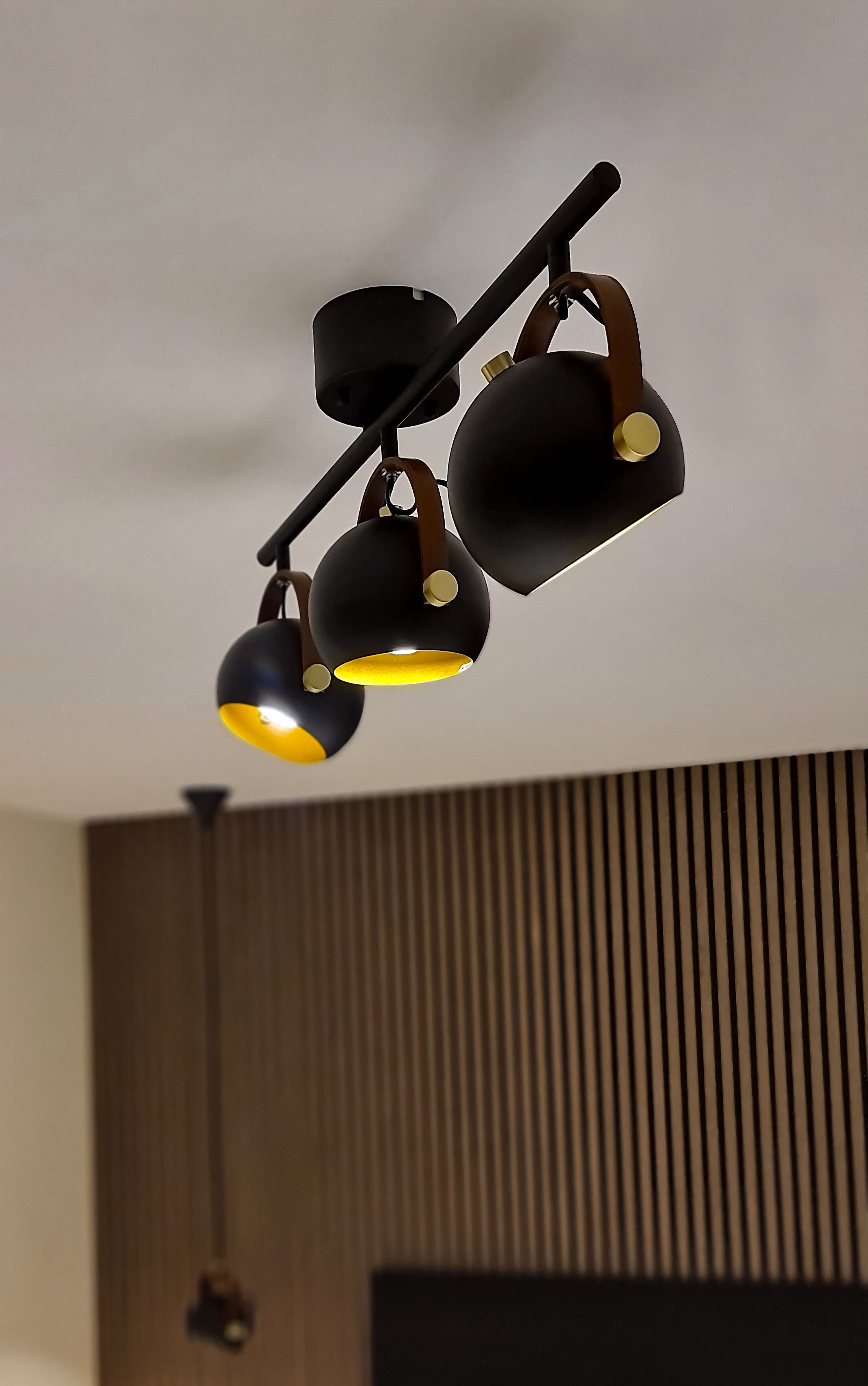Aneta Home BOW takspot