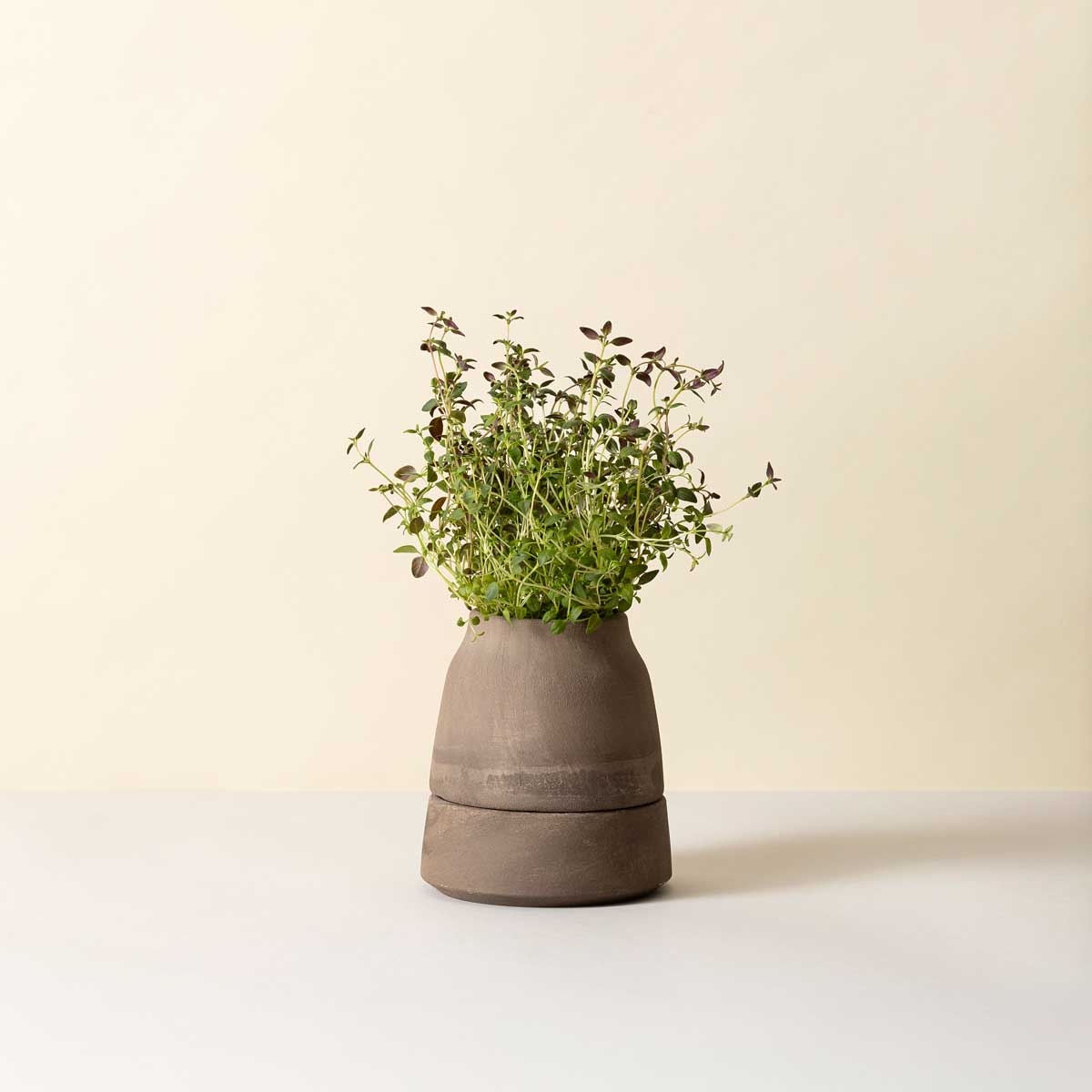 Viva Pot RAW Grey