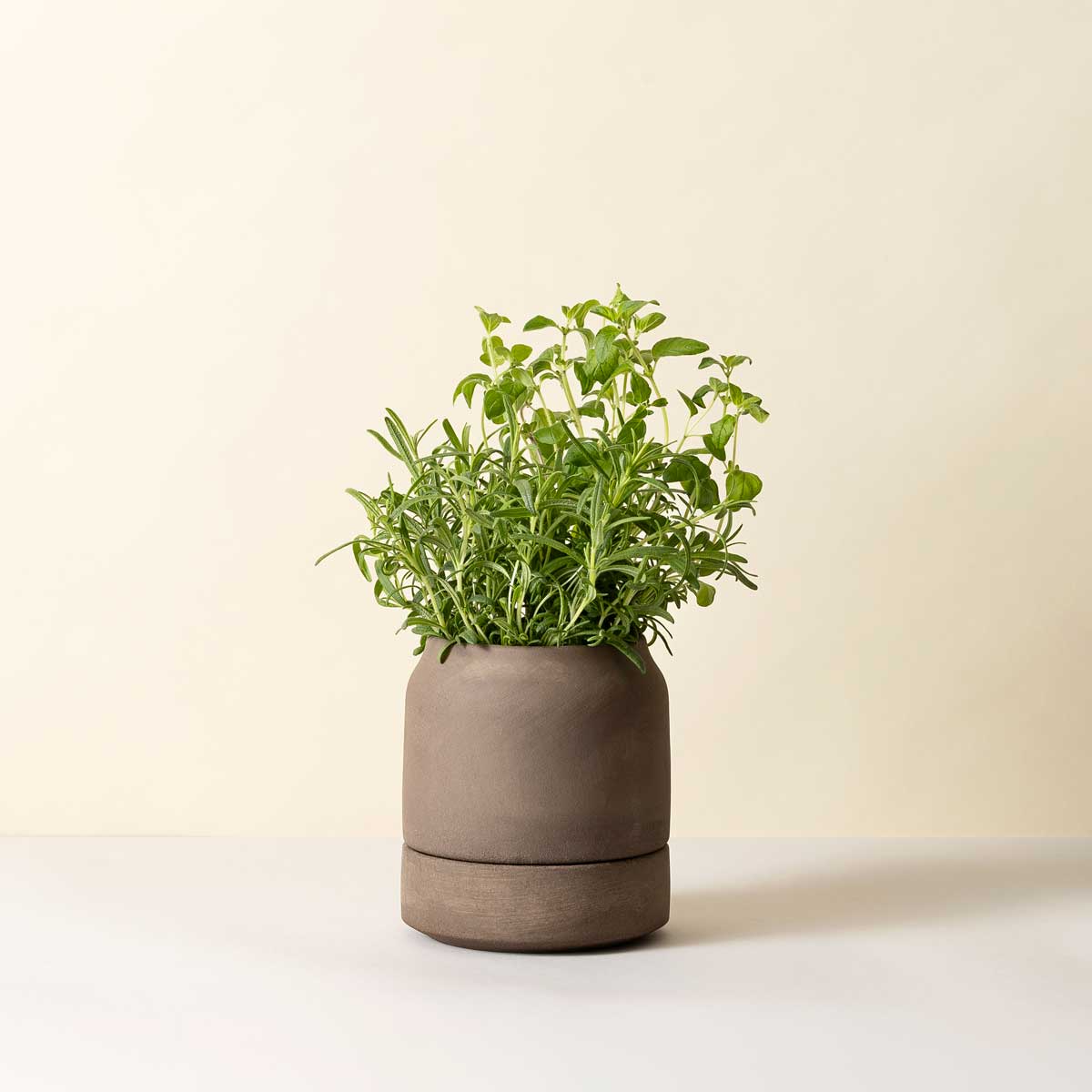 Viva Pot RAW Grey