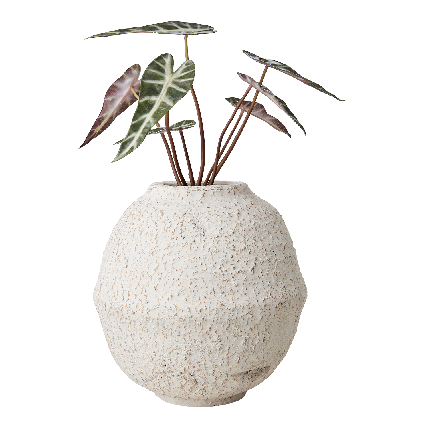 Affari of Sweden CREAM Kruka, Elfenben