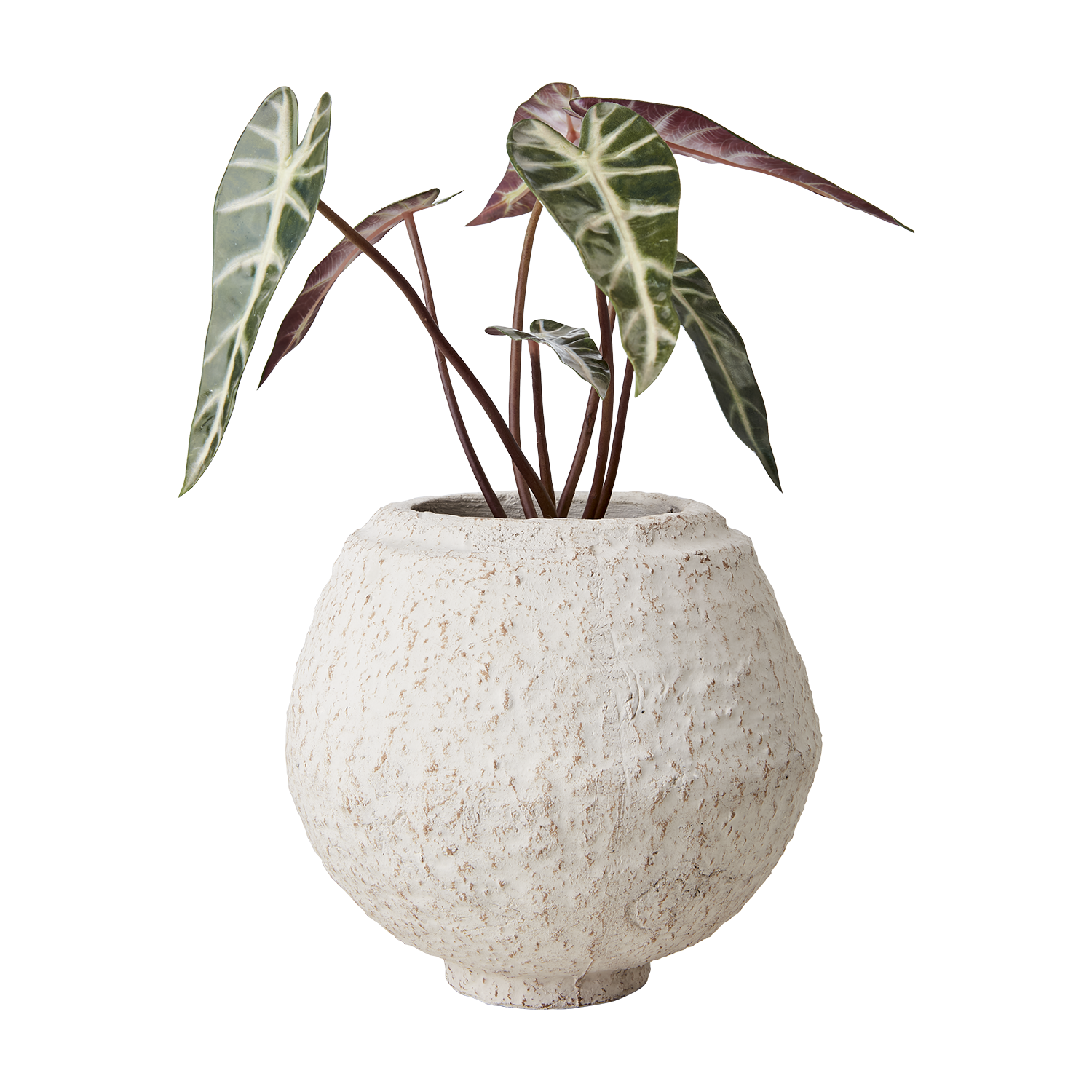 Affari of Sweden CREAM Kruka M, Elfenben