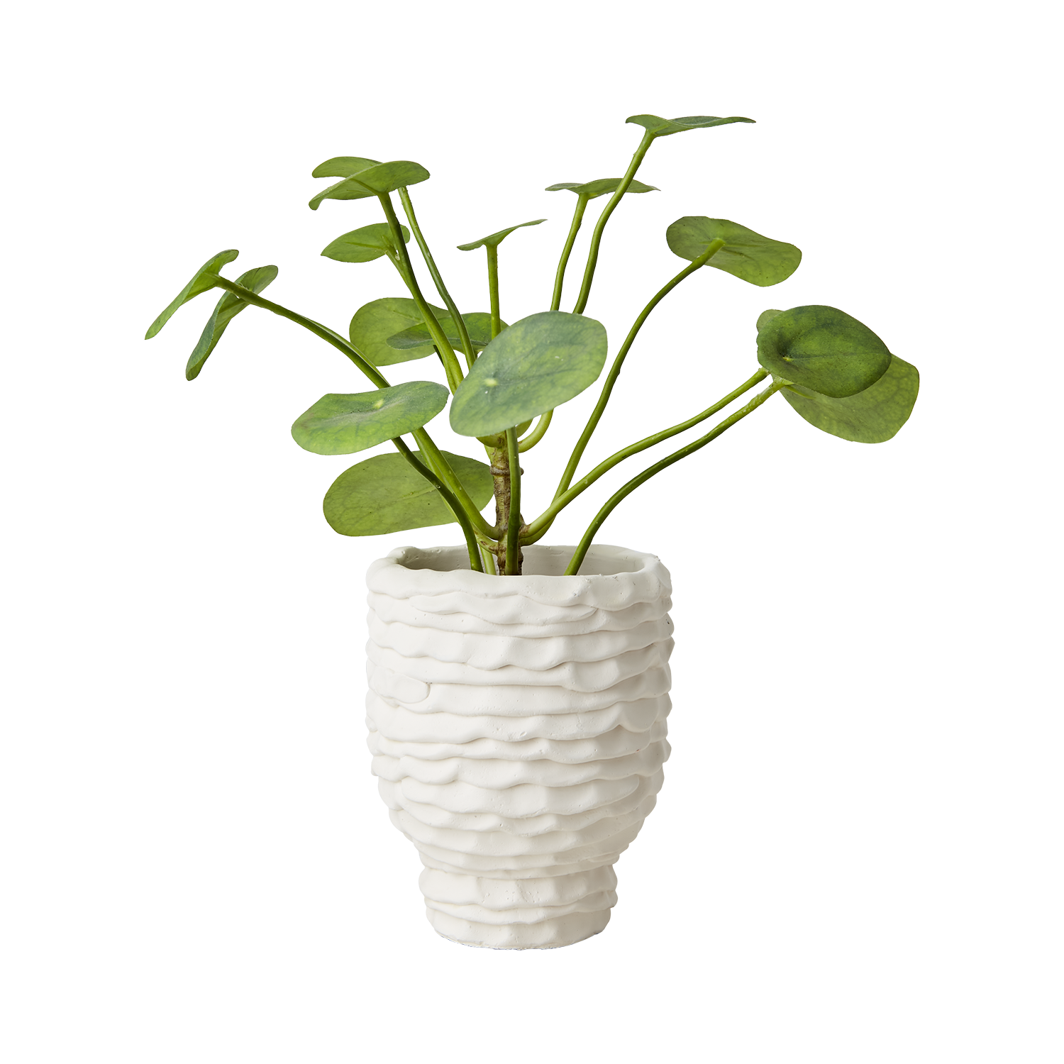 Affari of Sweden CREAM Kruka S, Elfenben