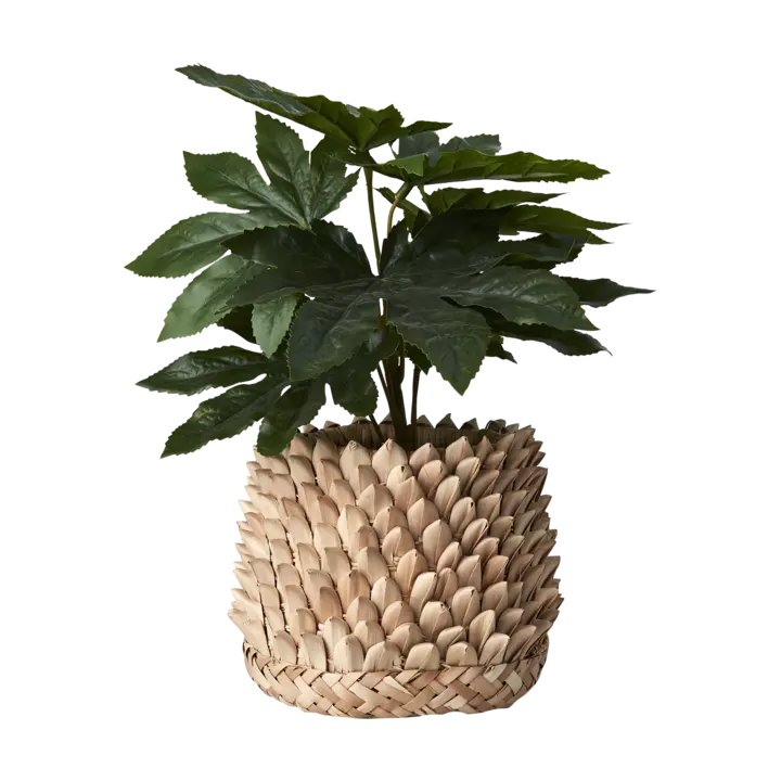 Affari of Sweden SPIKY Kruka, Natur