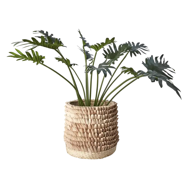 Affari of Sweden SPIKY Kruka, Natur