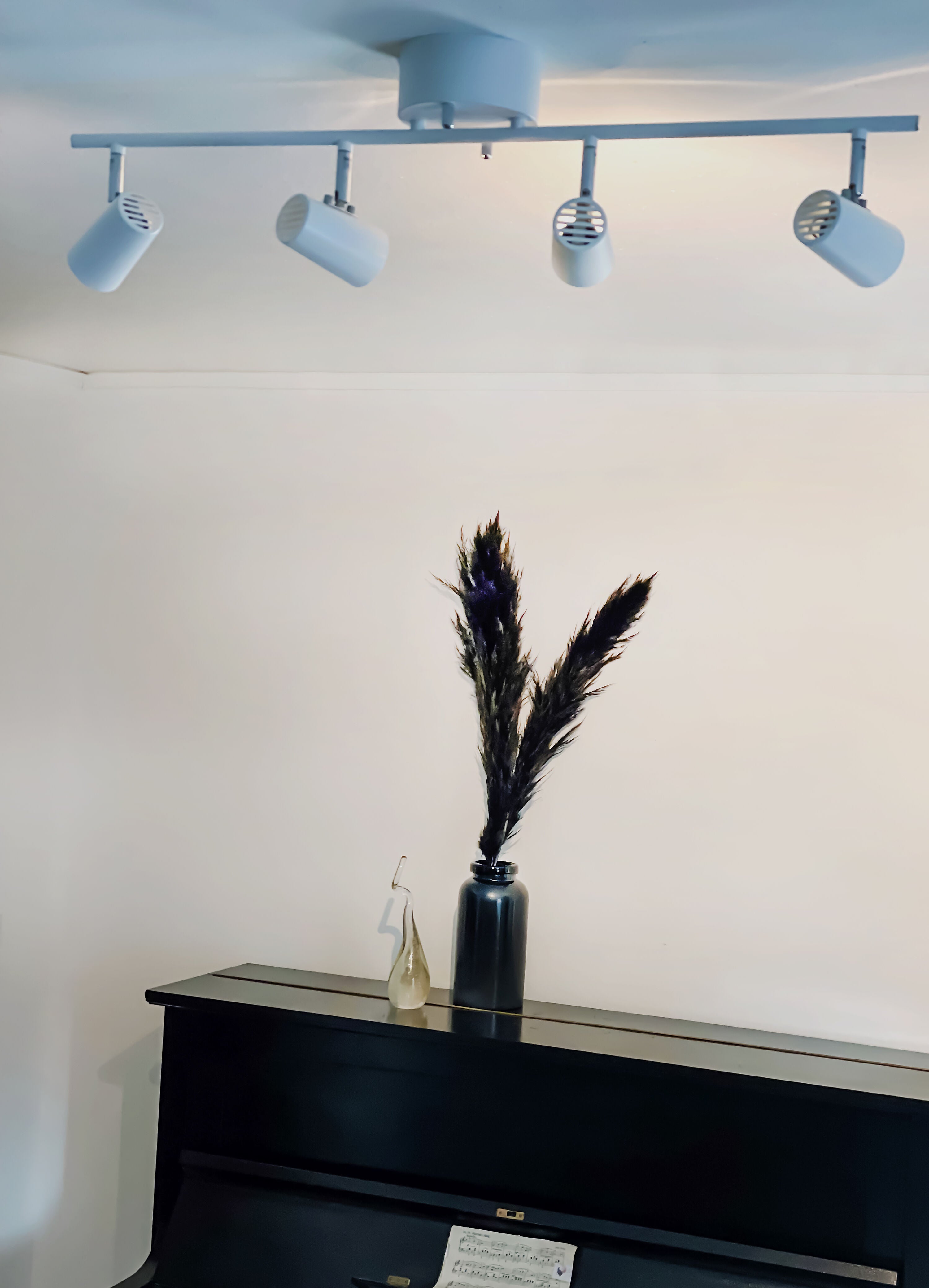 Aneta Home PILOT takspot 4:a rak