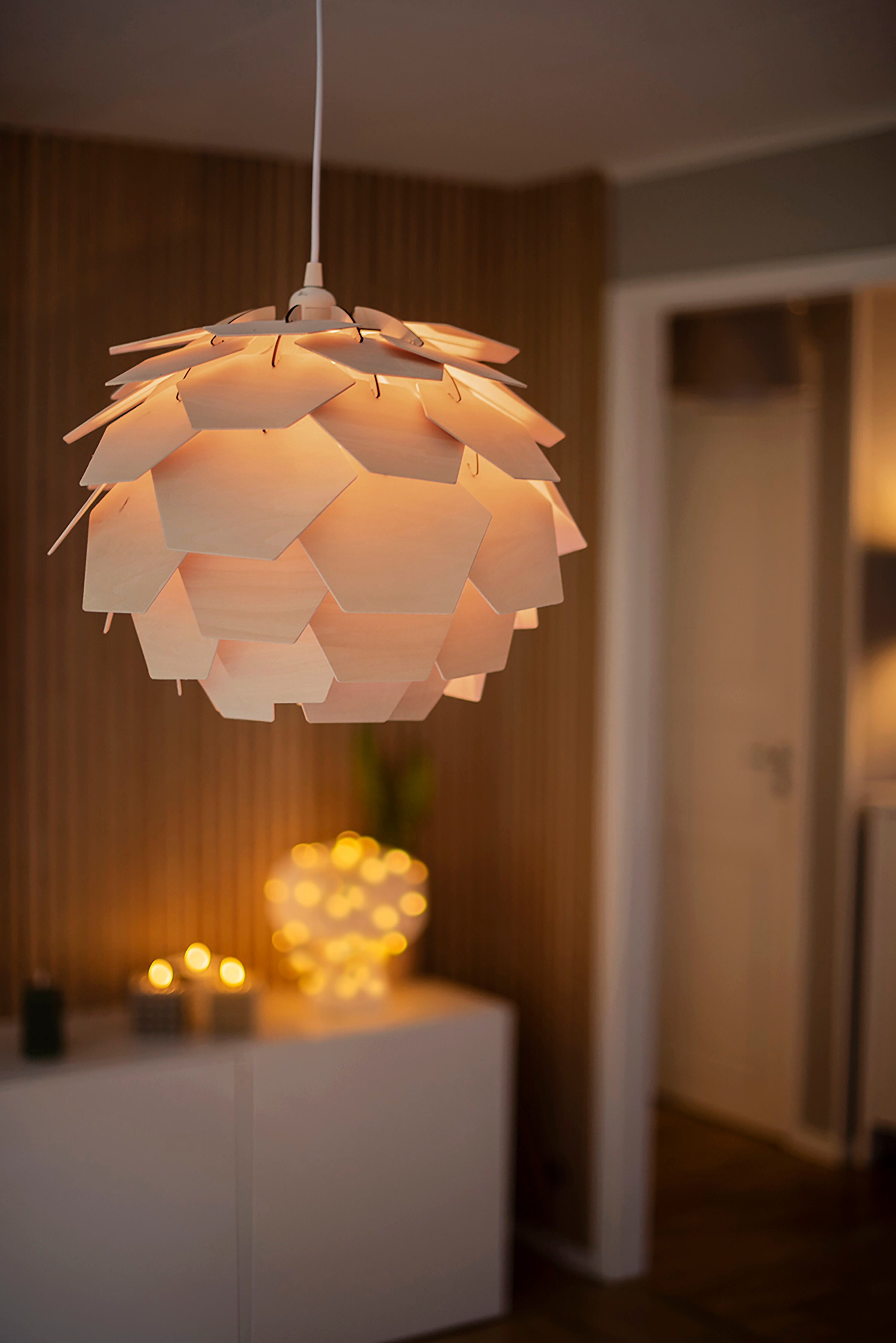 Aneta Home CARPATICA taklampa Ø40