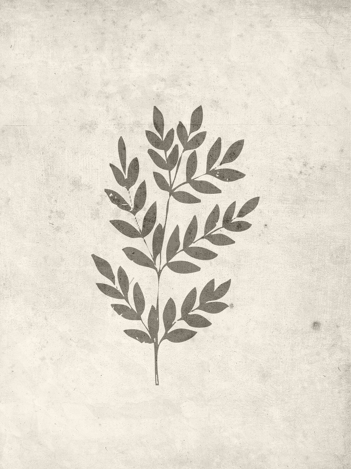 Venture Design Spring leaf Posters Beige