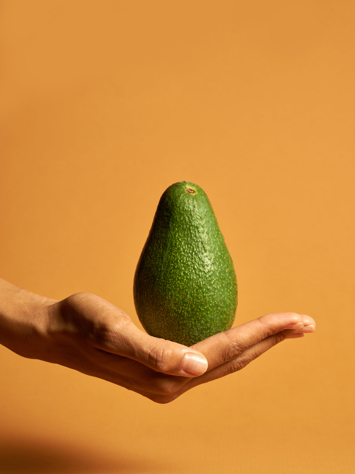 Venture Design Avocado Posters Orange