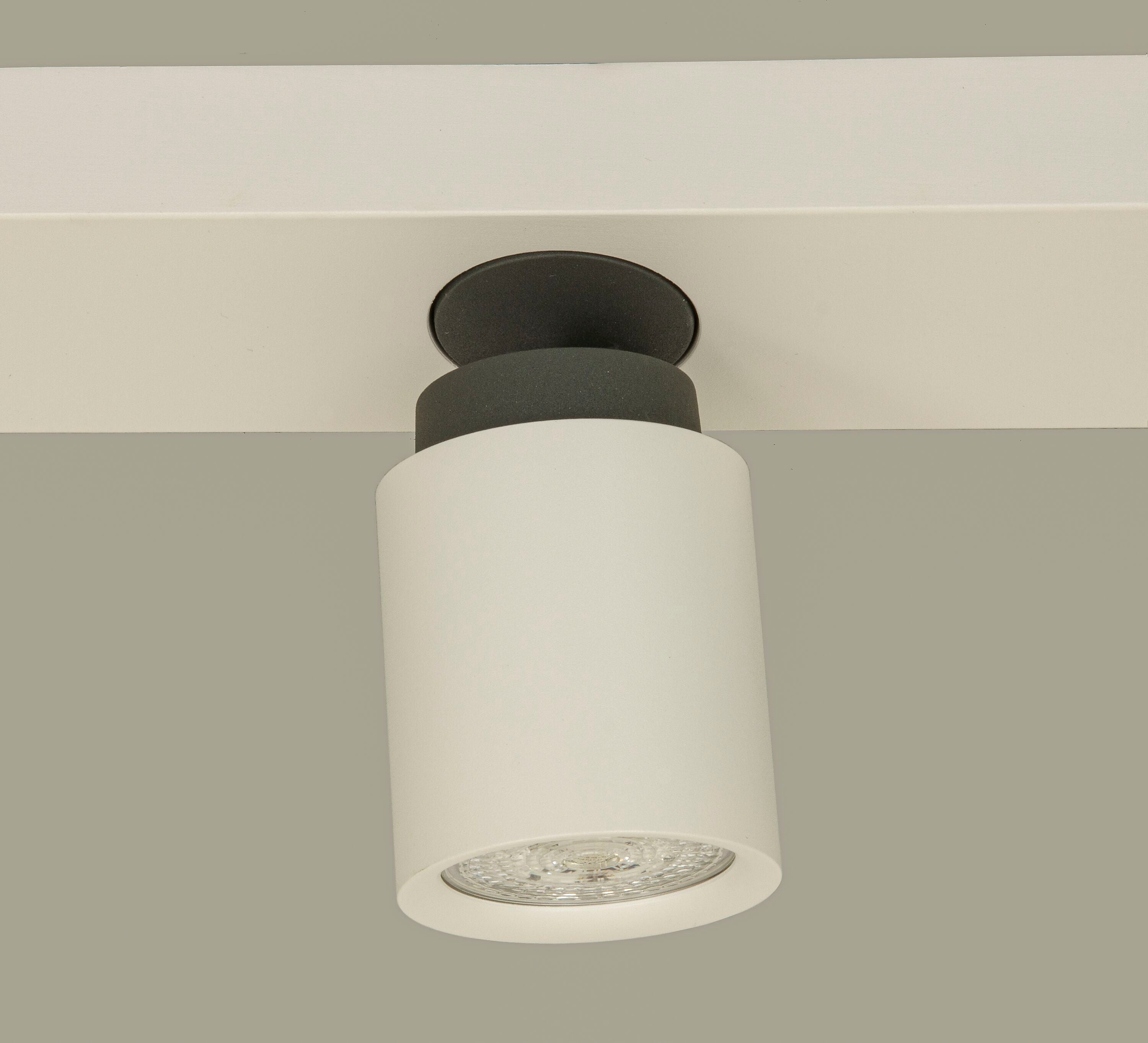 Aneta Home ROLLO takspot rak