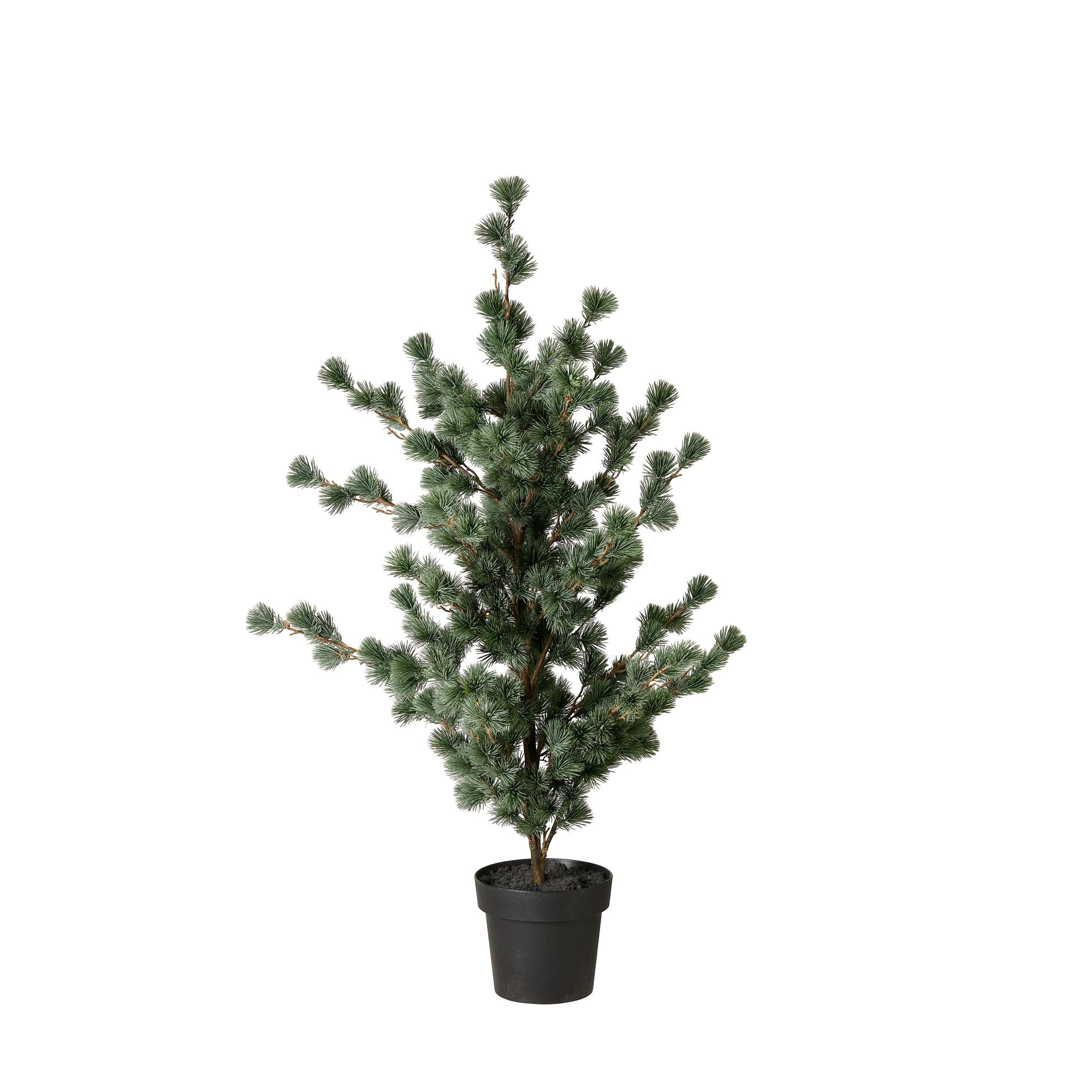 Wikholm Form LÄRKTRÄD