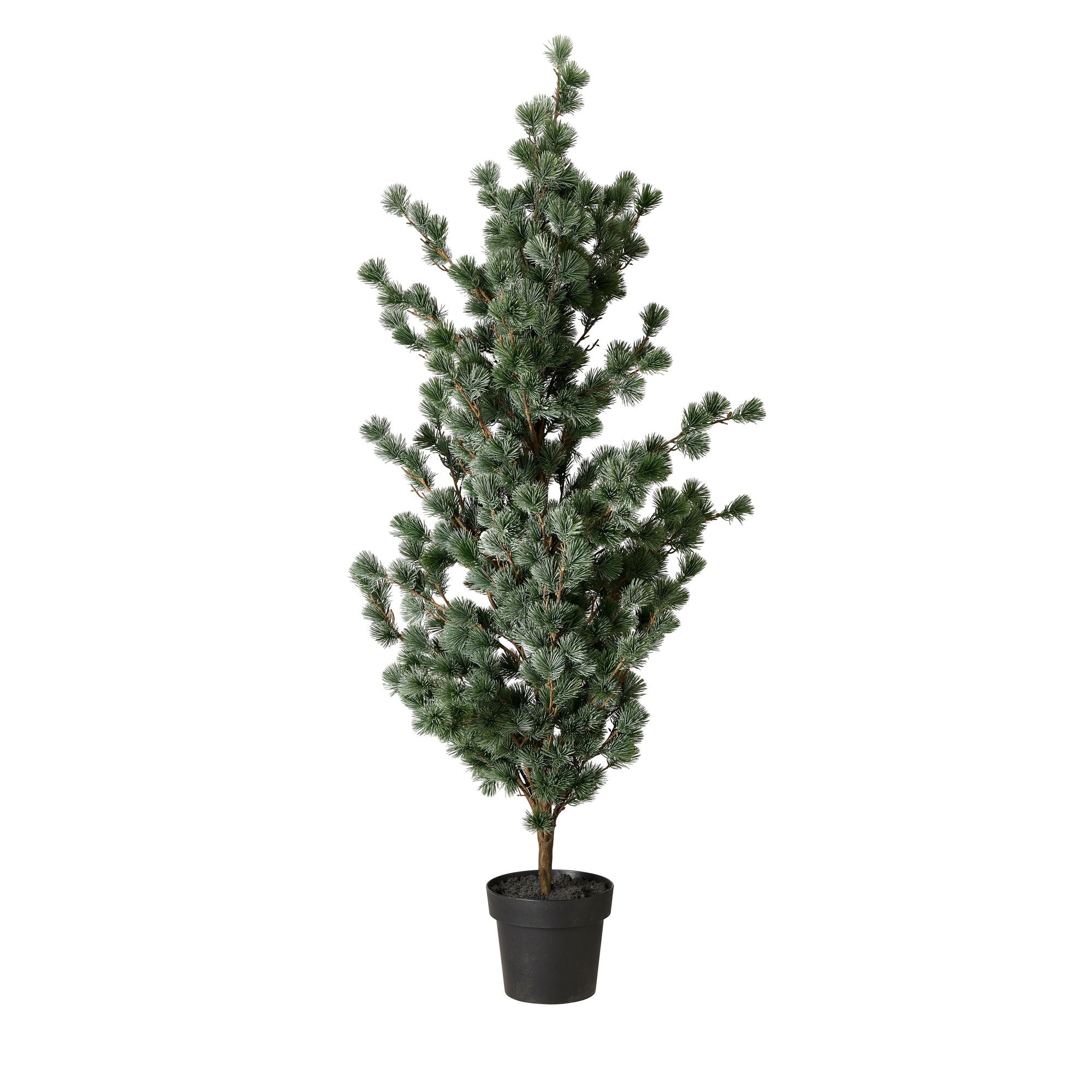 Wikholm Form LÄRKTRÄD