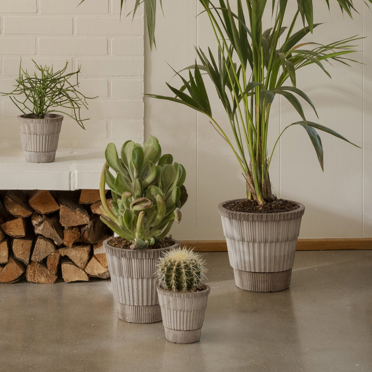 Atlas Pot RAW Grey
