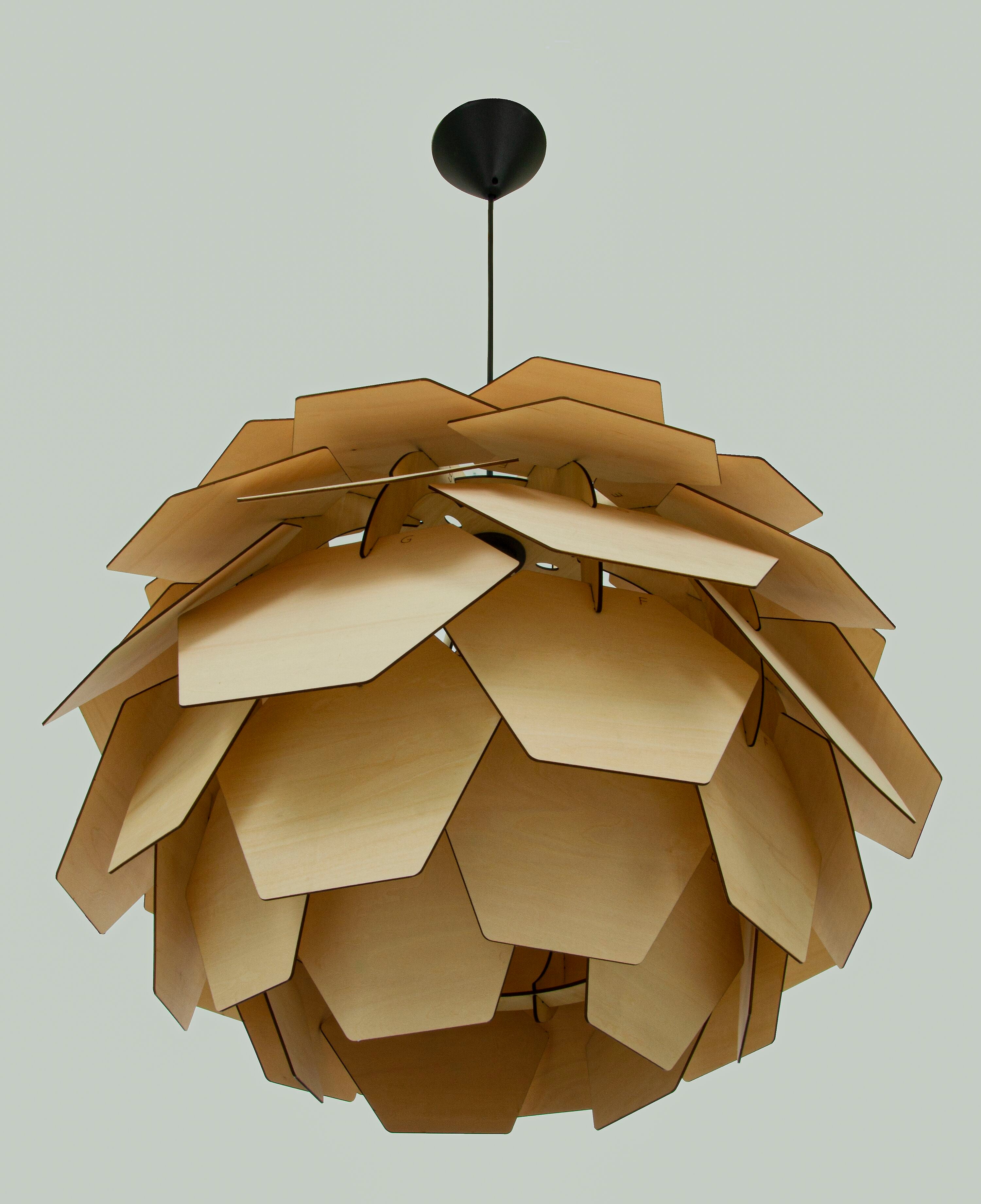 Aneta Home CARPATICA taklampa Ø60