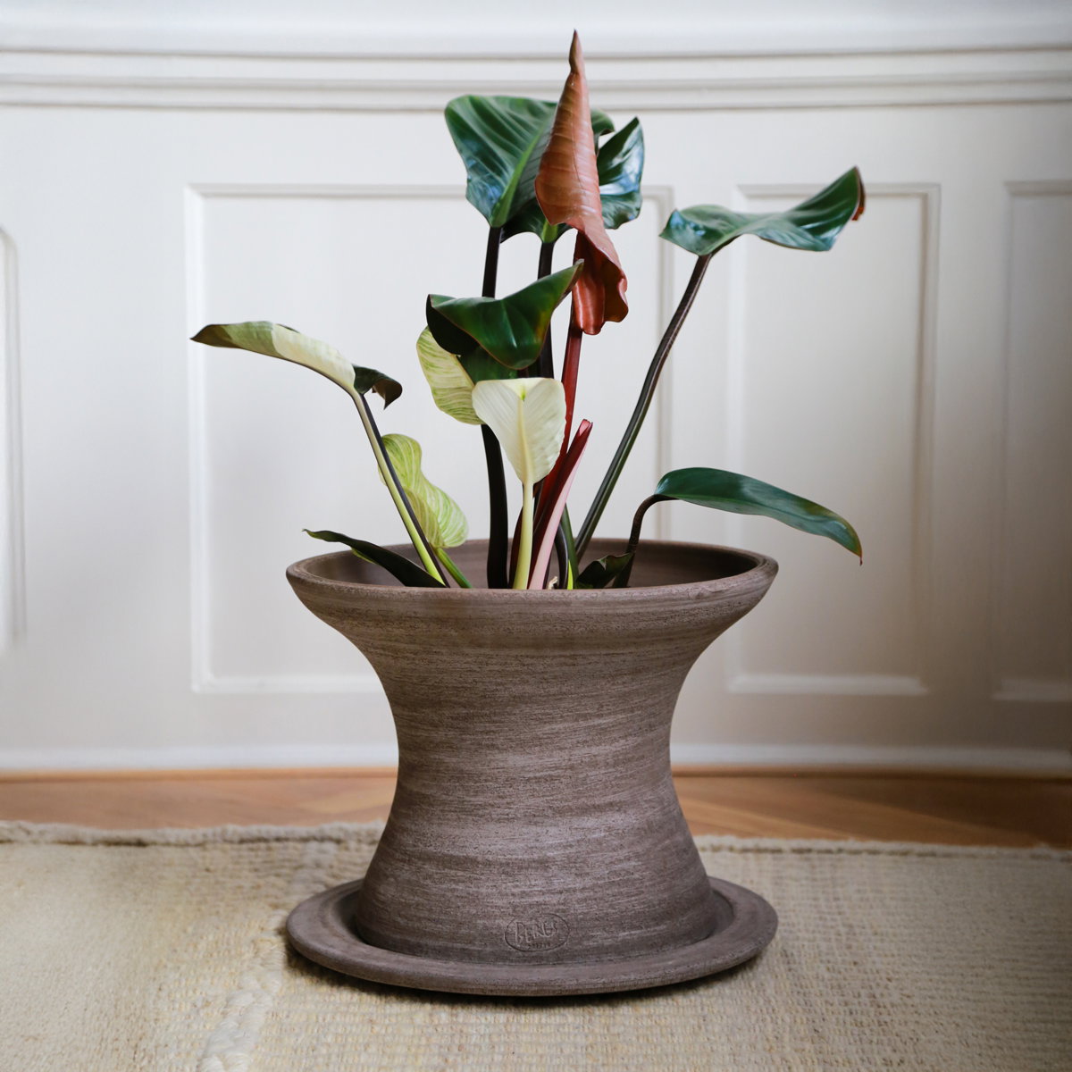 Celeste Pedestal RAW Grey