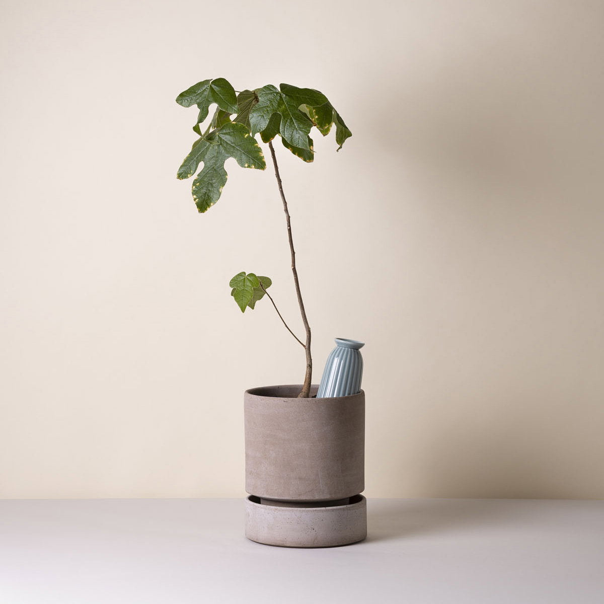 Cove Watering Tube Misty Blue