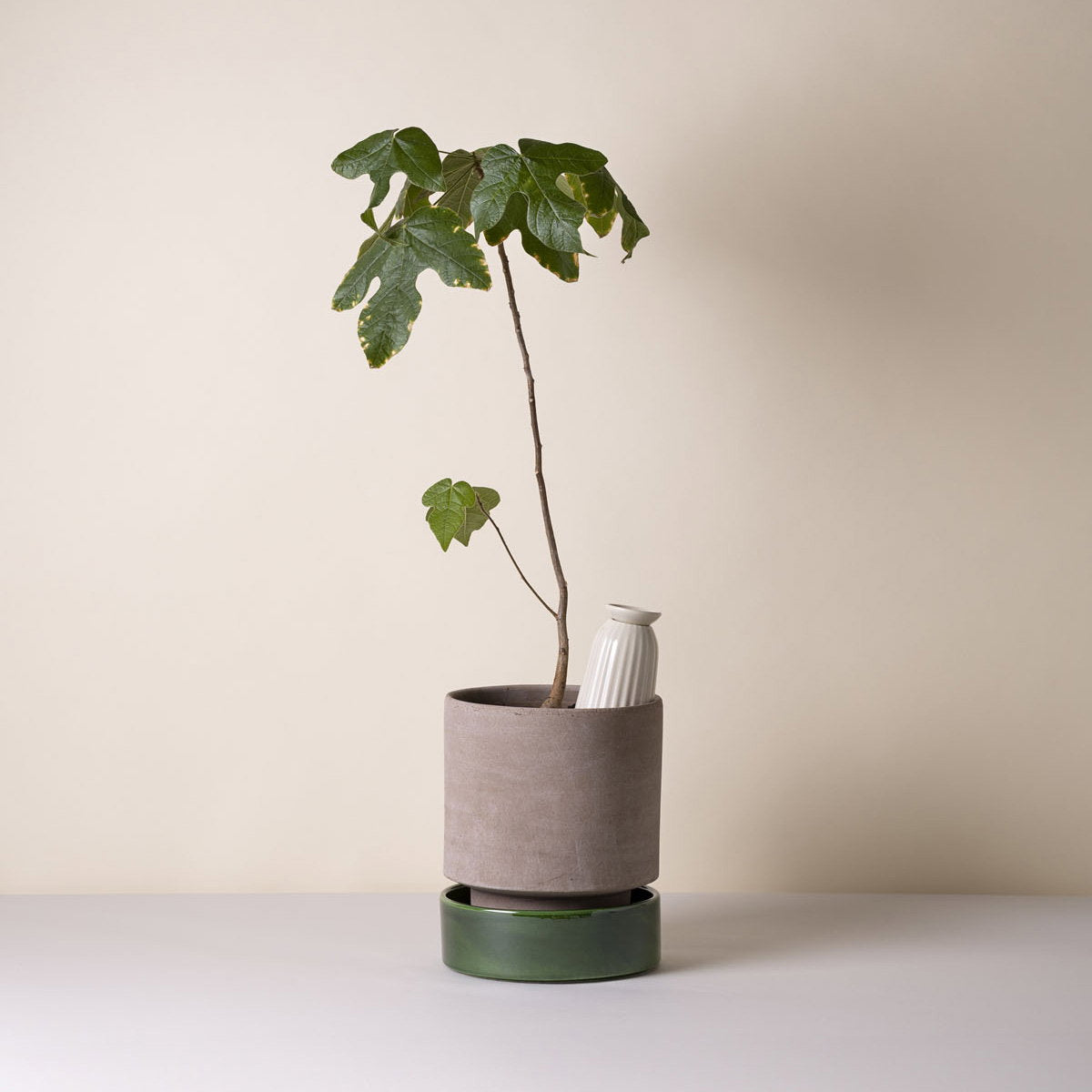 Cove Watering Tube Sandstone
