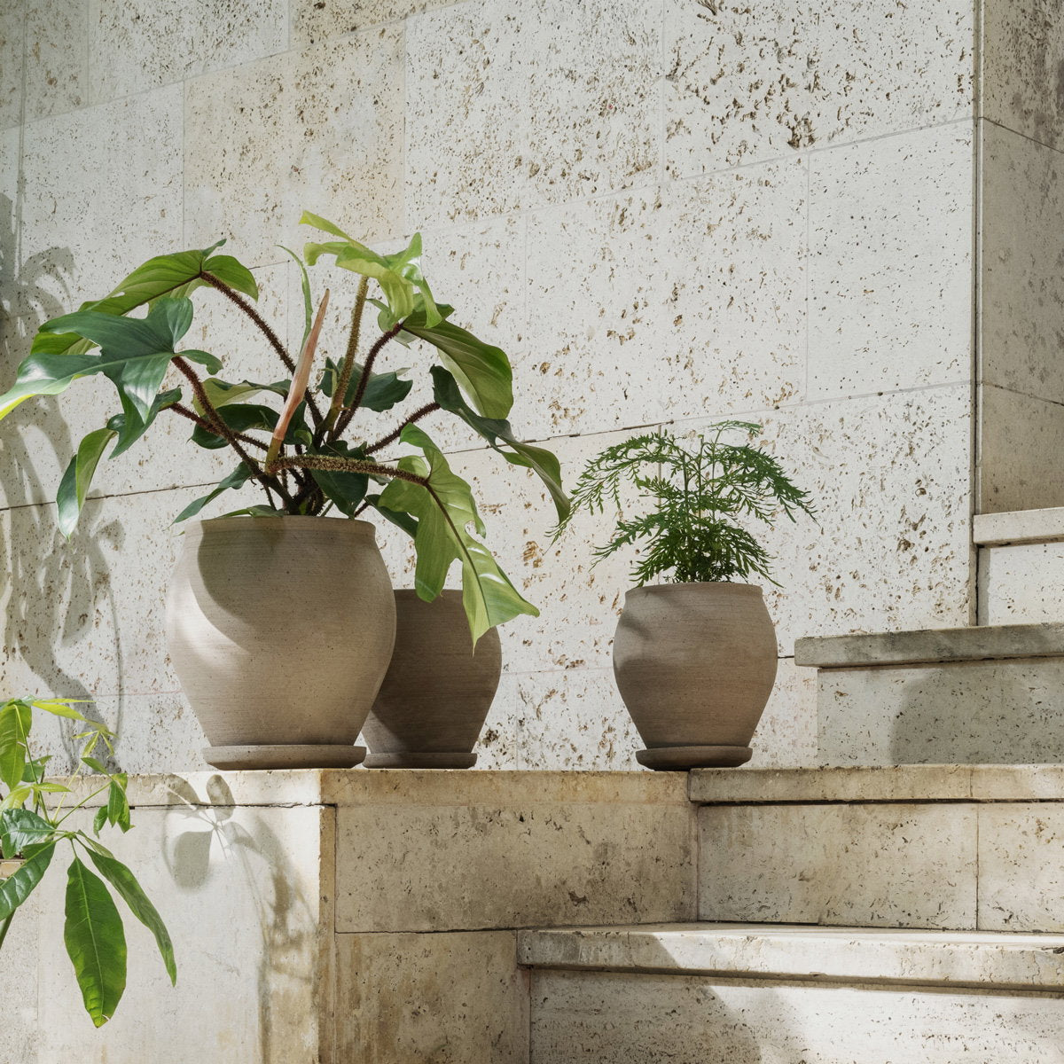 Delphi Pot RAW Grey