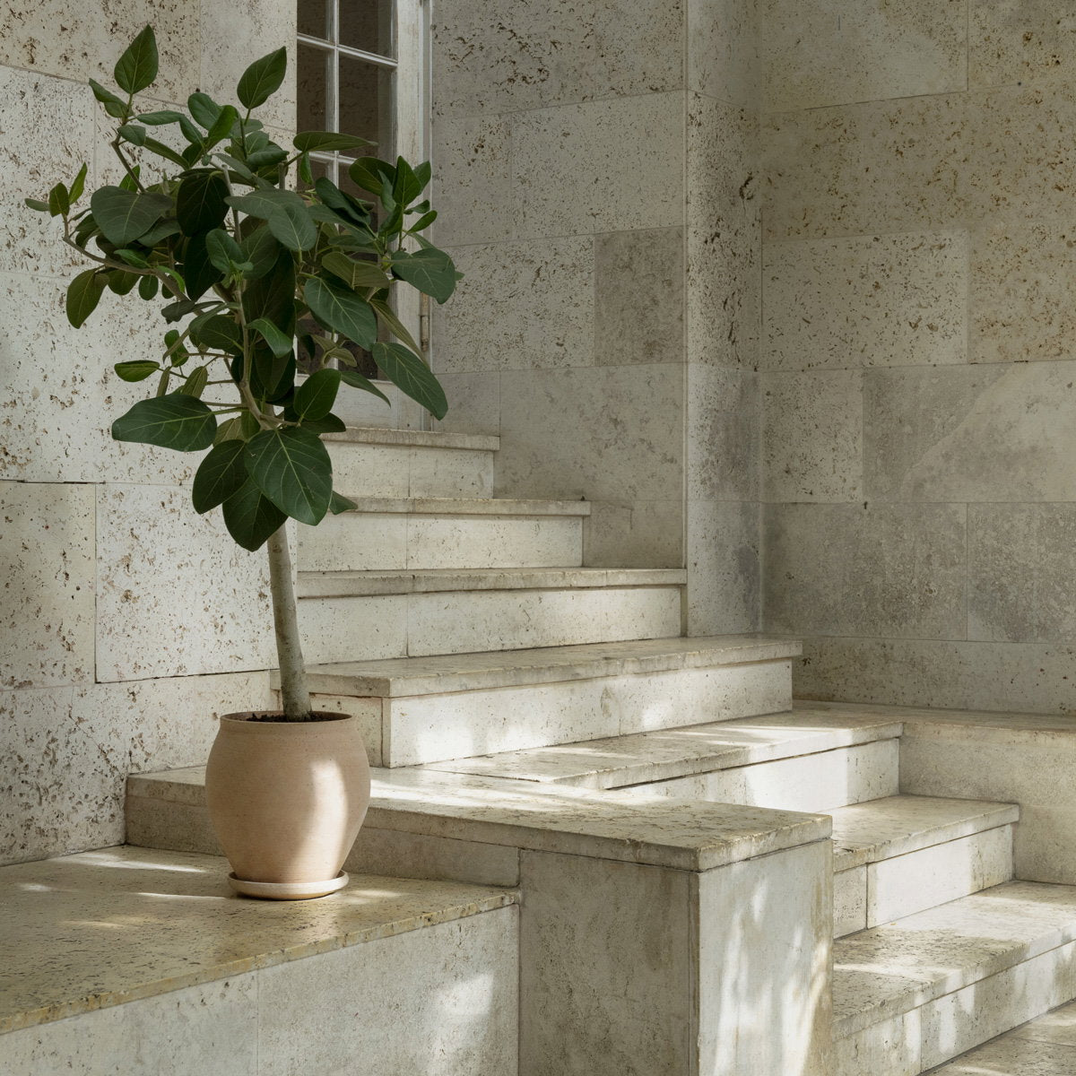 Delphi Pot RAW Rosa