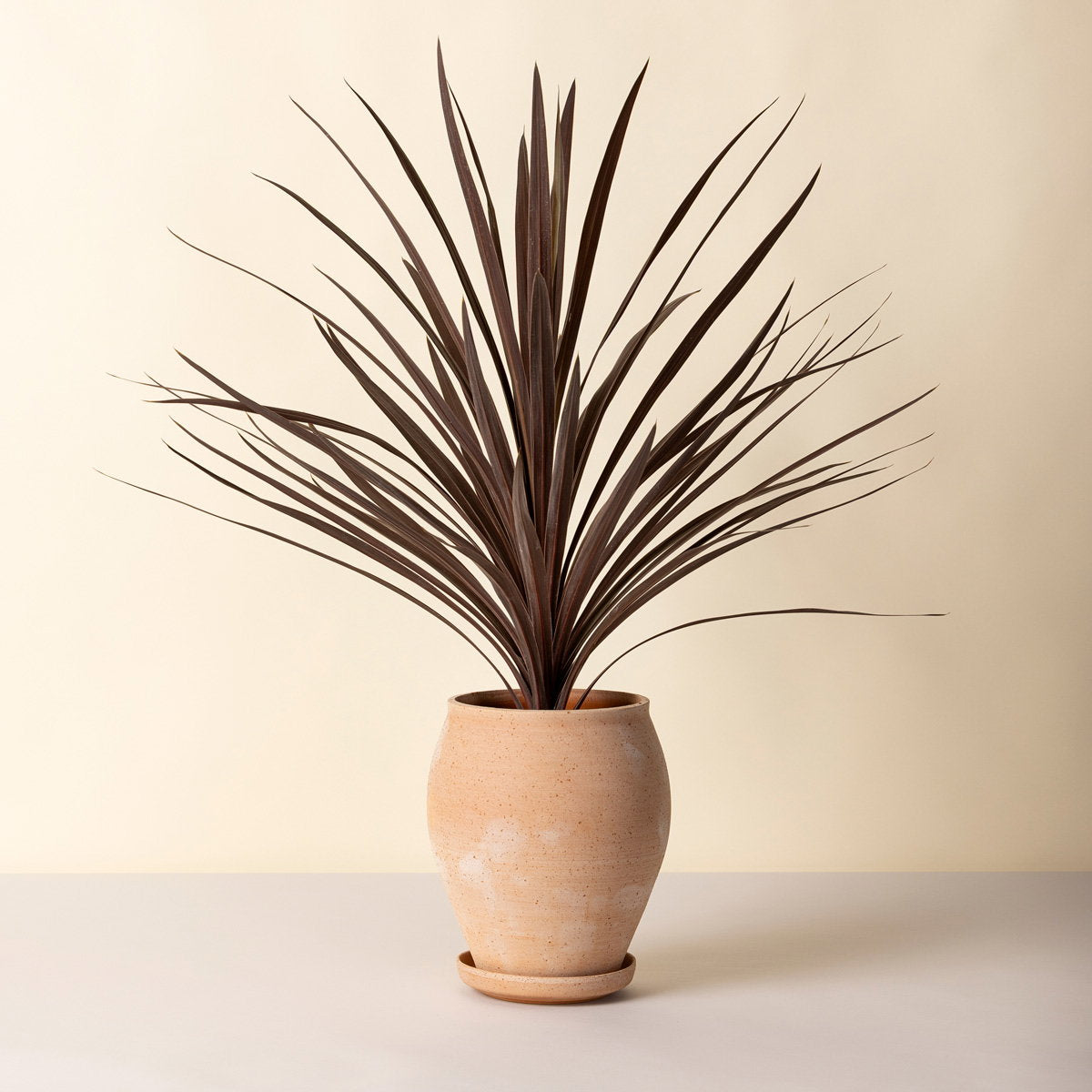 Delphi Tall Pot RAW Rosa