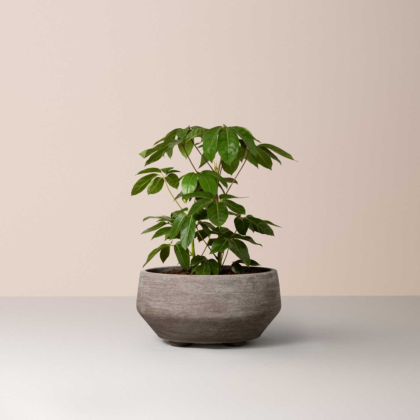 Doma Large Pot RAW Grey
