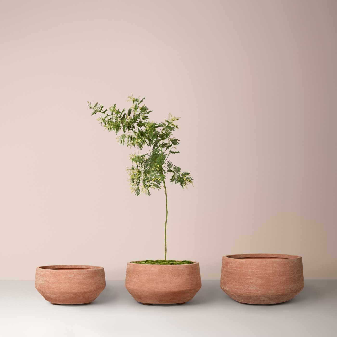 Doma Large Pot RAW Rosa