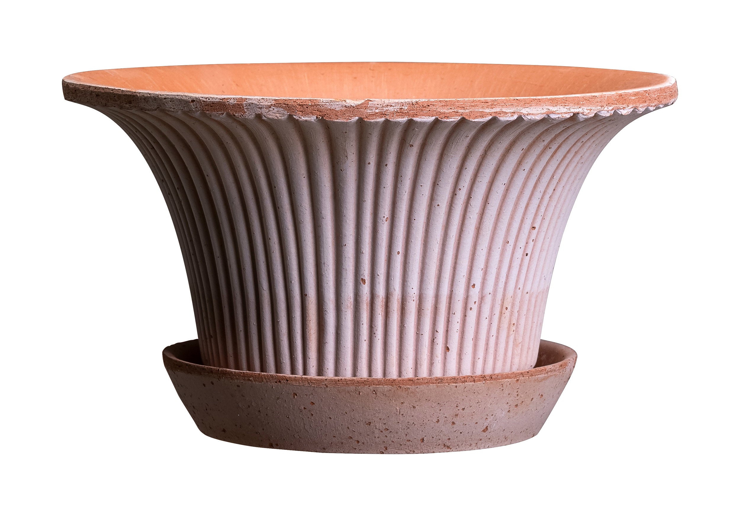 Daisy Pot RAW Rosa