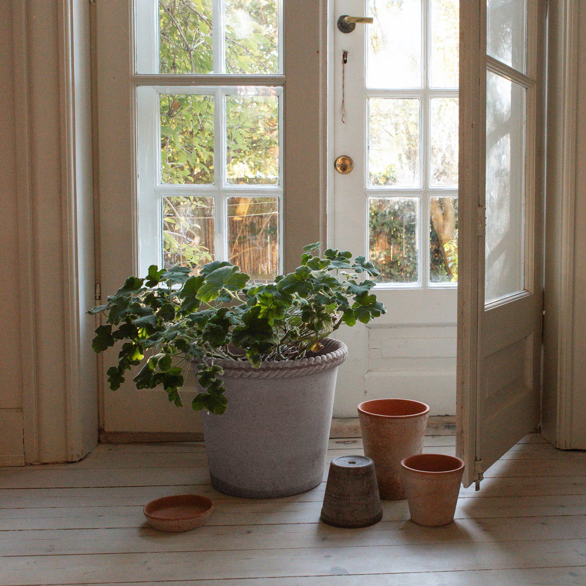 Emilia Pot RAW Grey