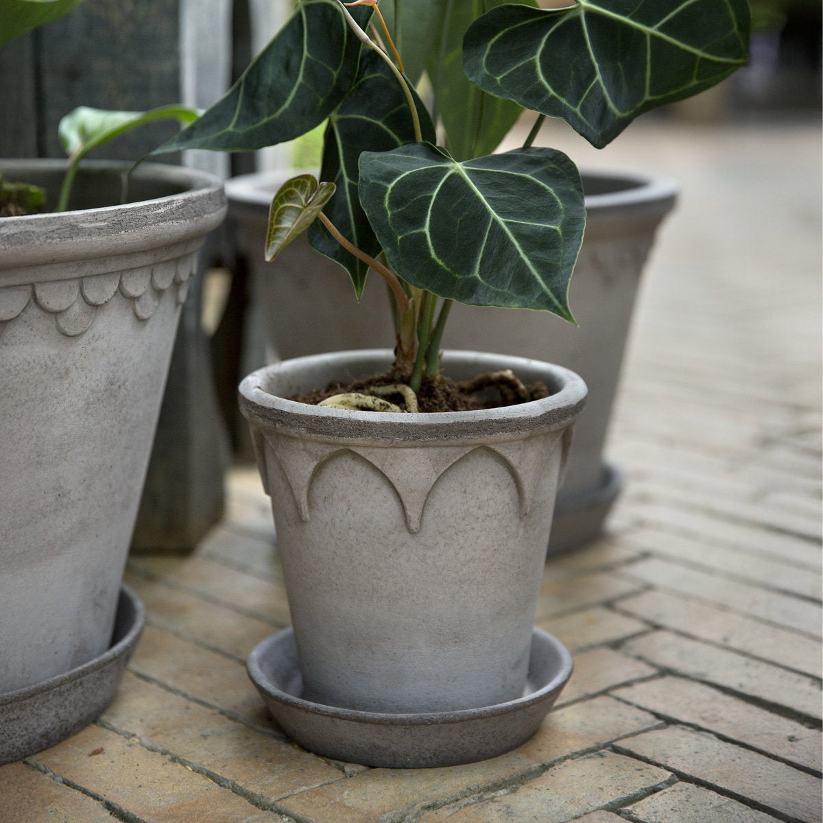 Elizabeth Pot RAW Grey