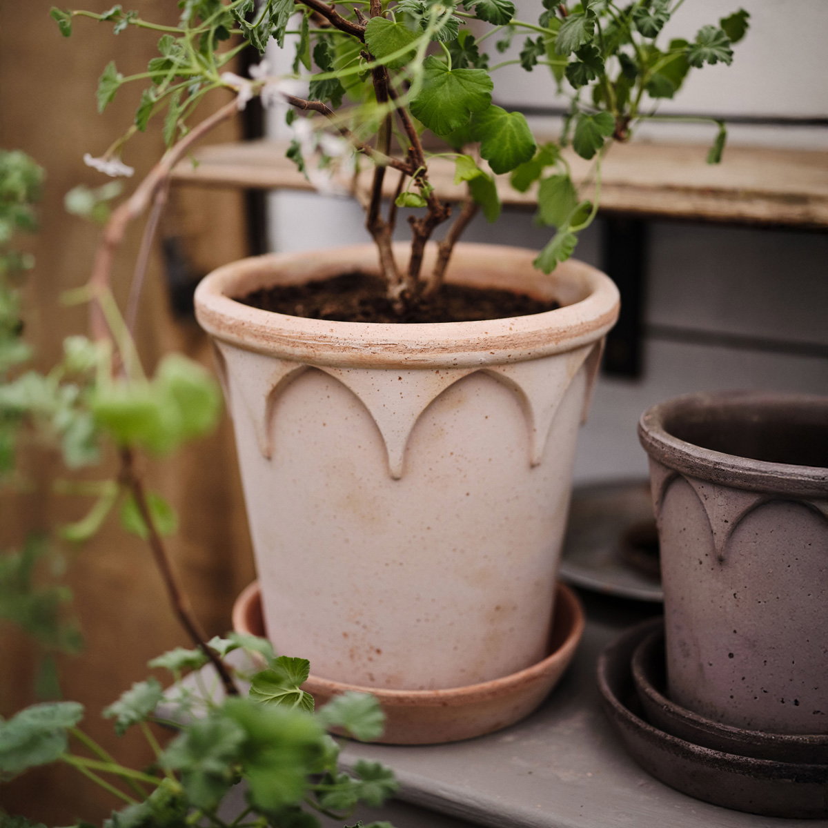 Elizabeth Pot RAW Rosa