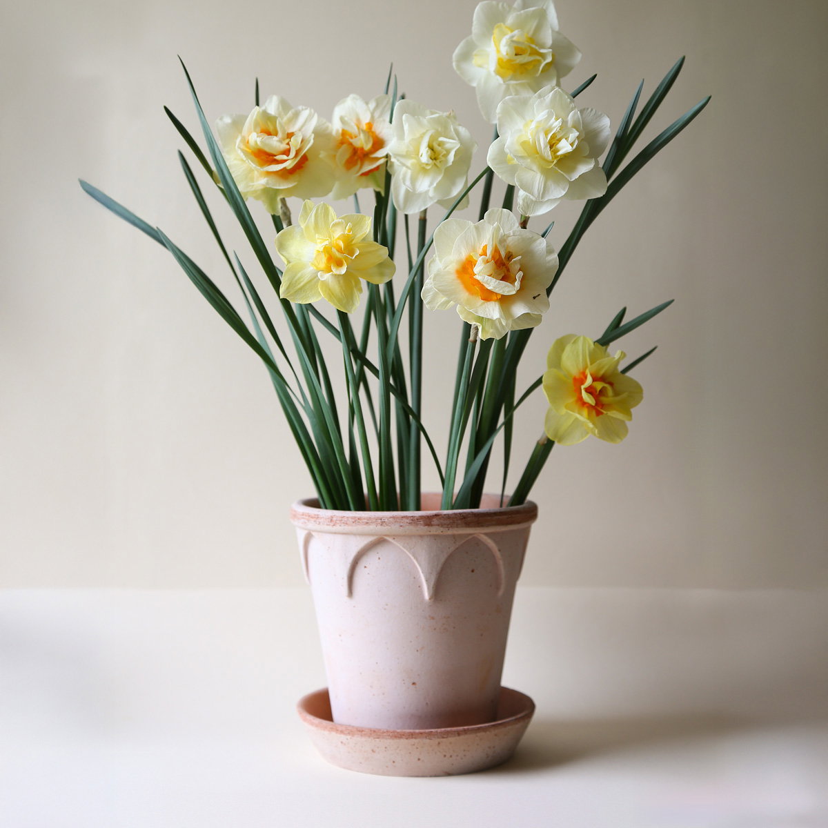 Elizabeth Pot RAW Rosa
