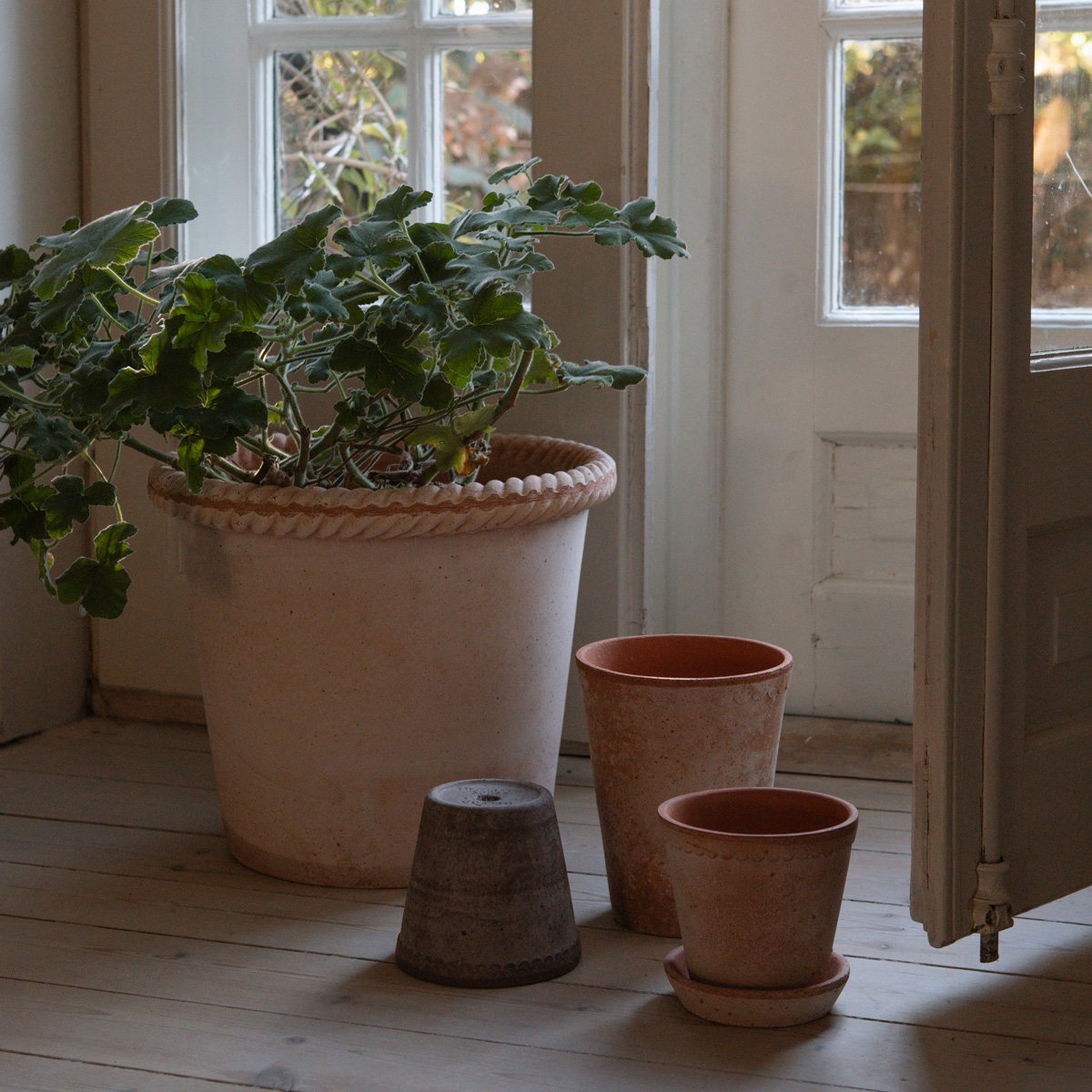 Emilia Pot RAW Rosa