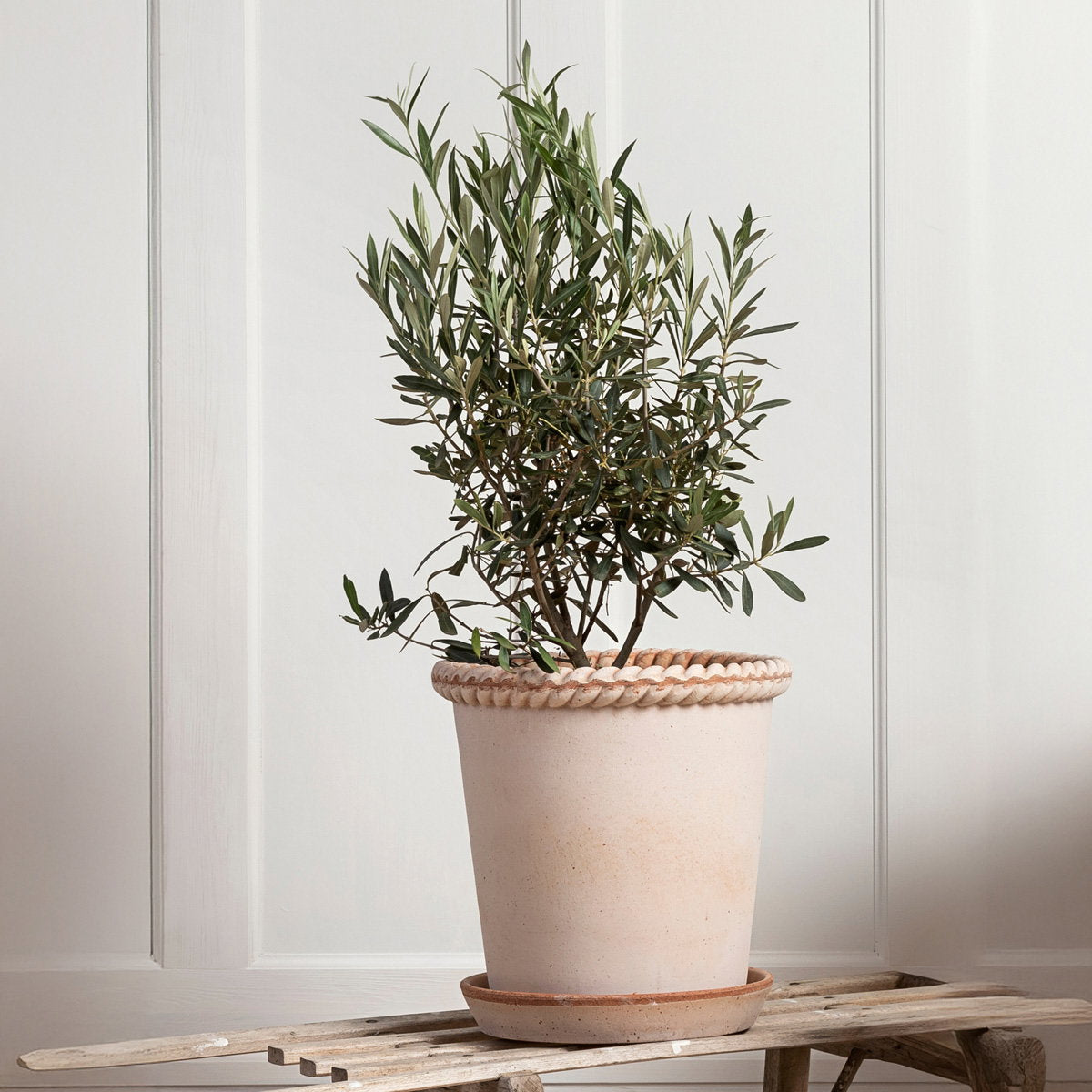 Emilia Pot RAW Rosa