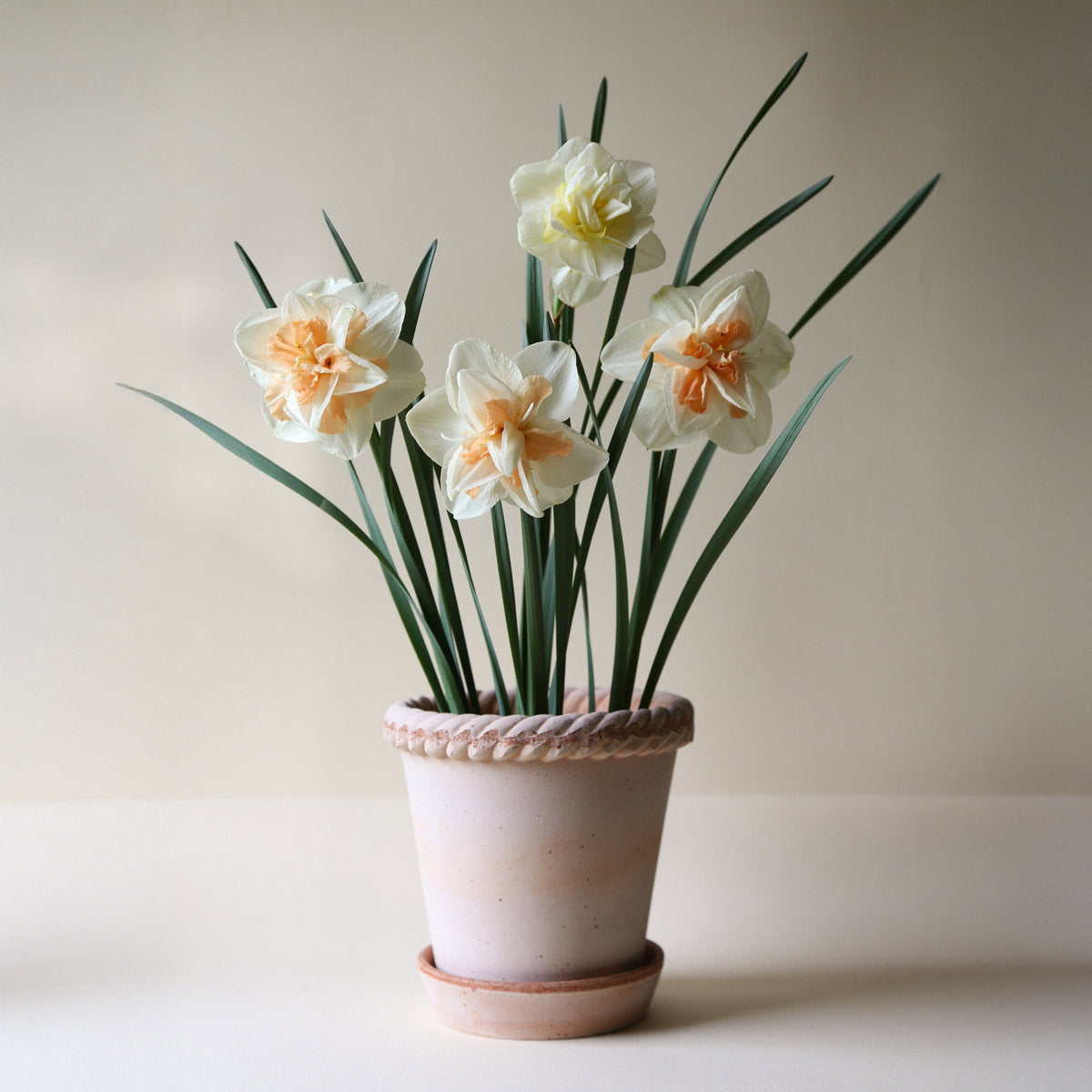 Emilia Pot RAW Rosa
