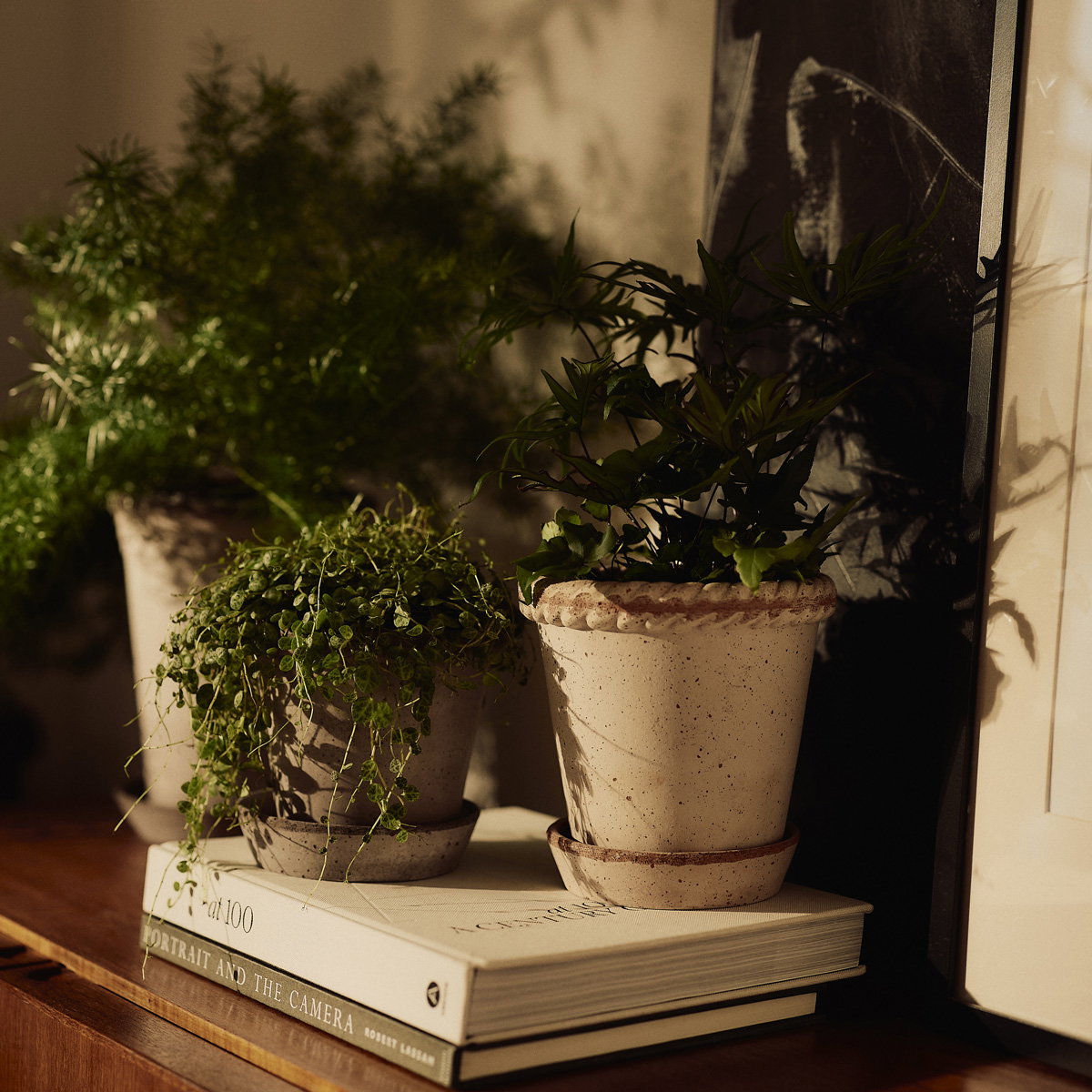Emilia Pot RAW Rosa