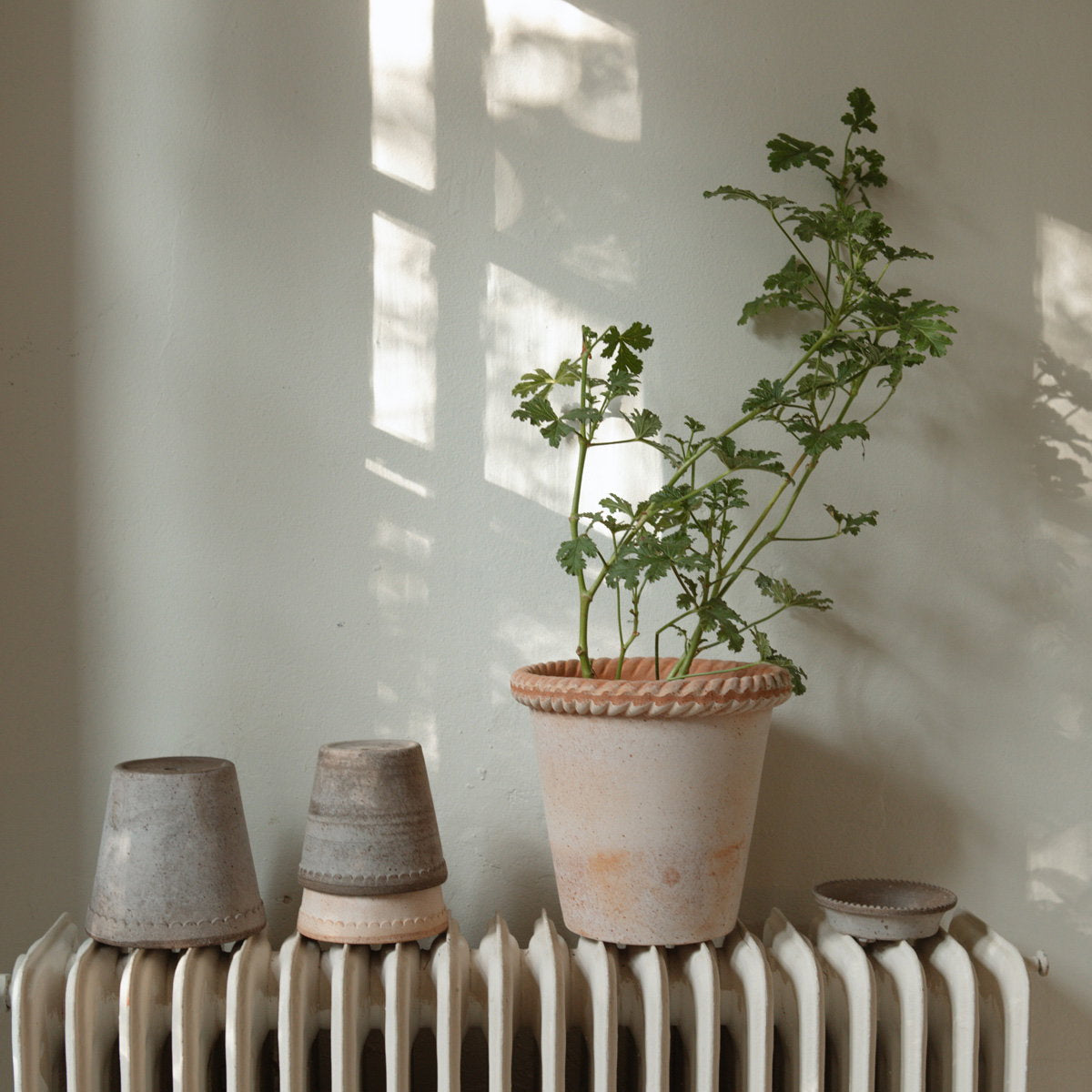 Emilia Pot RAW Rosa