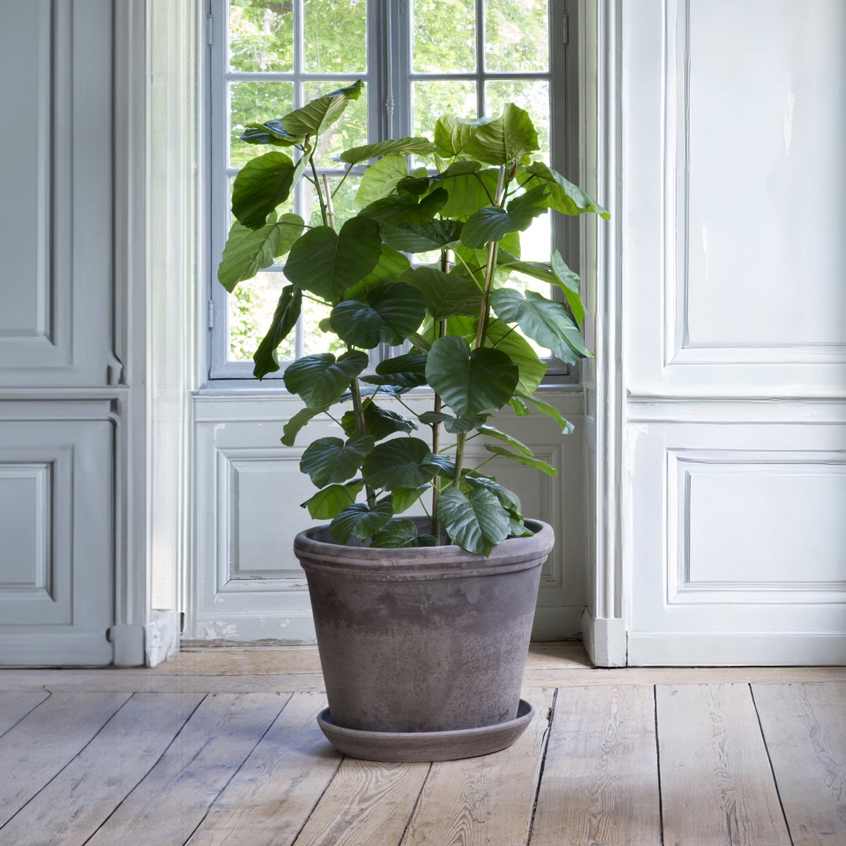 Flora Large Pot RAW Grey