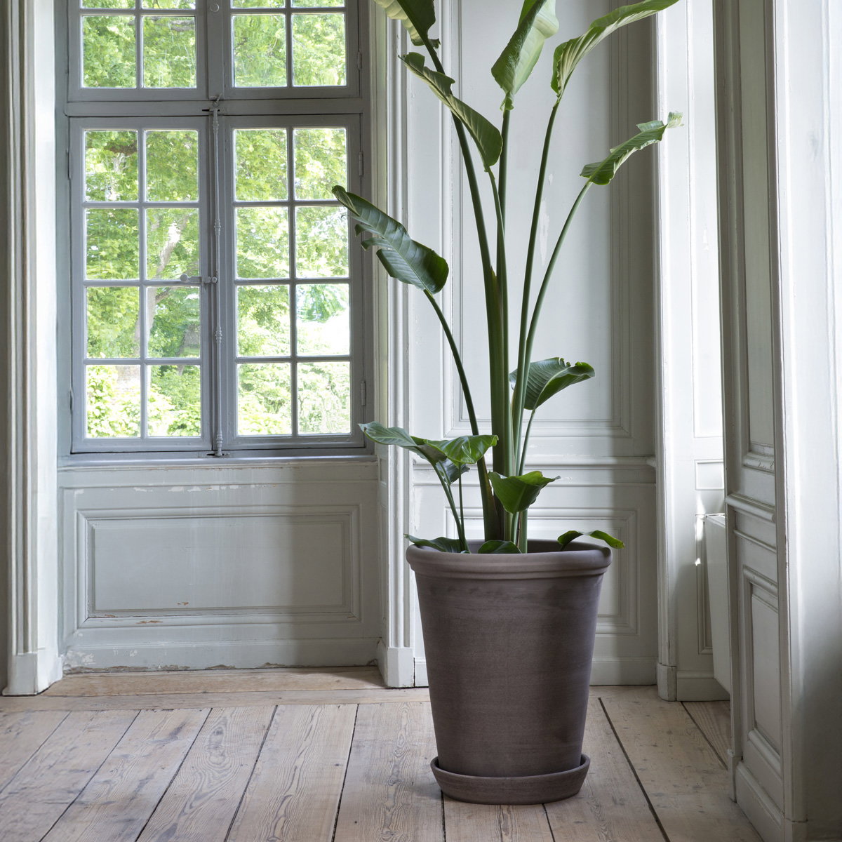 Flora Large Tall Pot RAW Grey