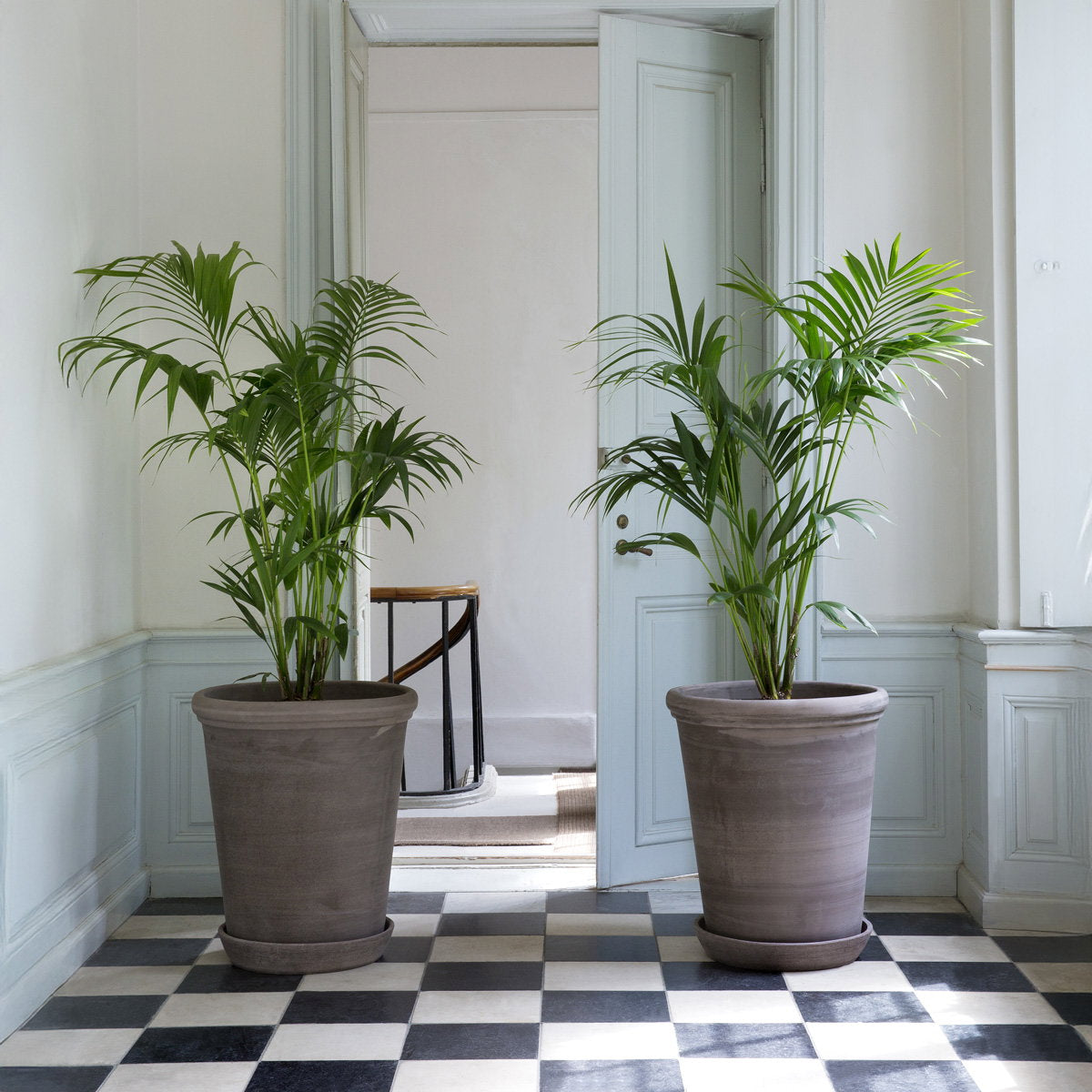 Flora Large Tall Pot RAW Grey