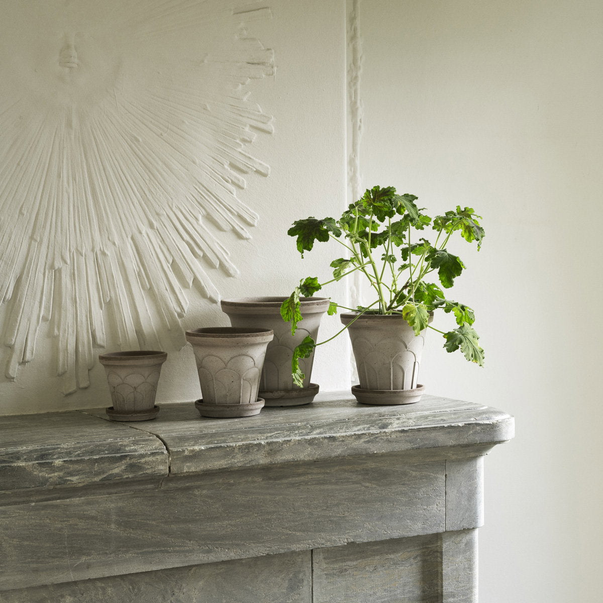 Fleur Pot RAW Grey
