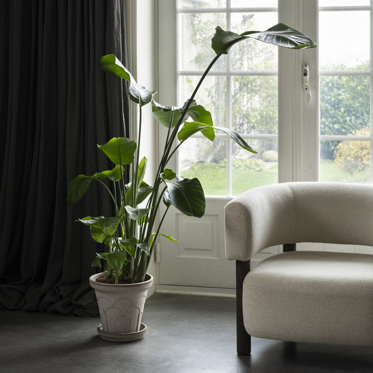 Fleur Pot RAW Grey