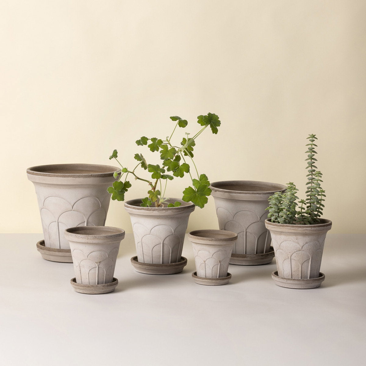 Fleur Pot RAW Grey