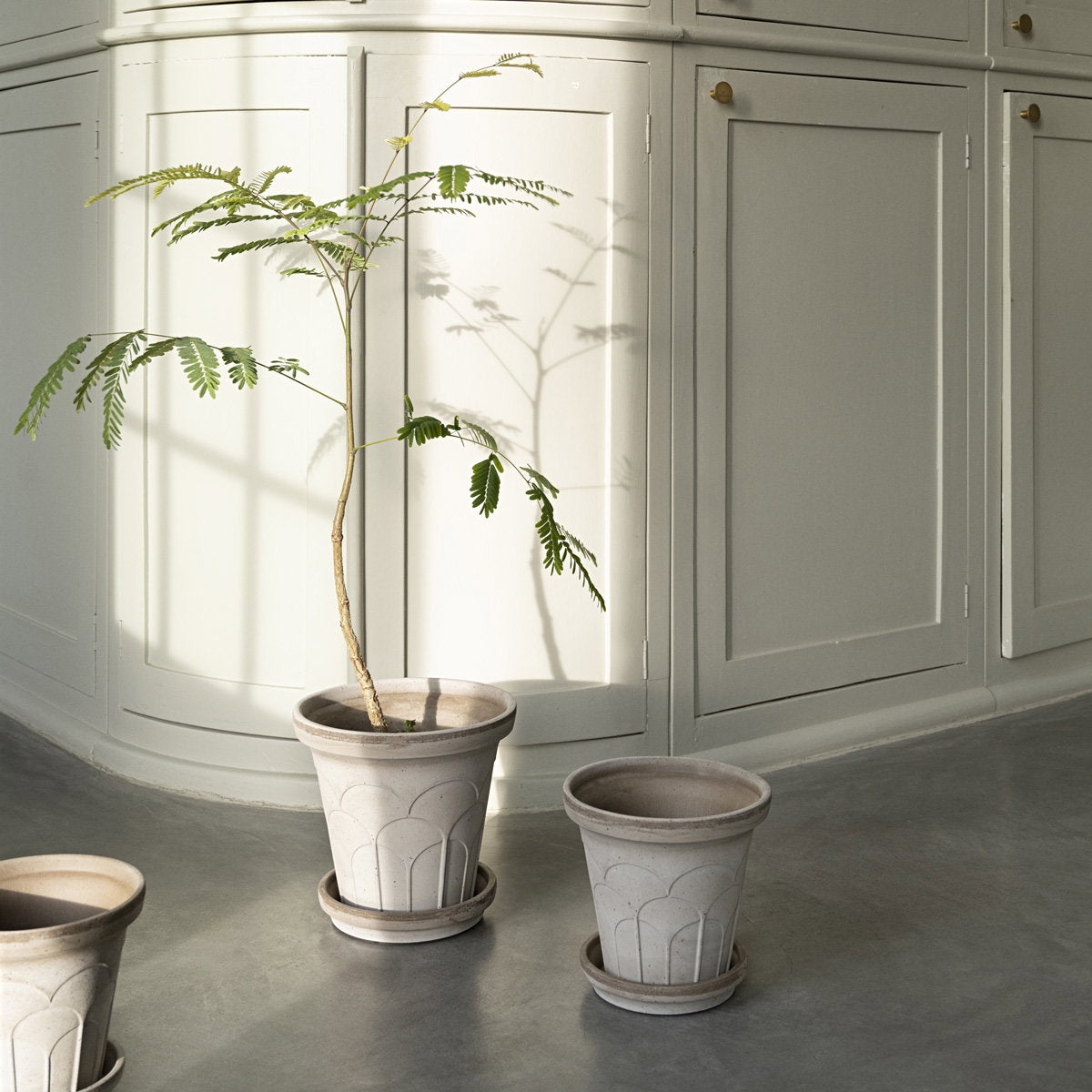 Fleur Pot RAW Grey