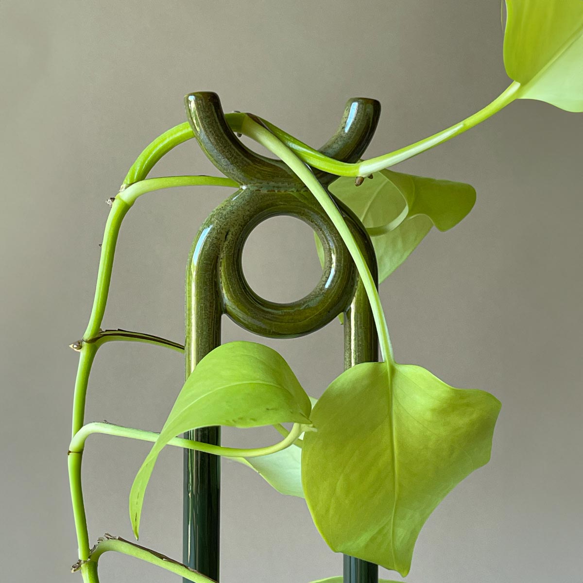 Folk Oni Moss Green