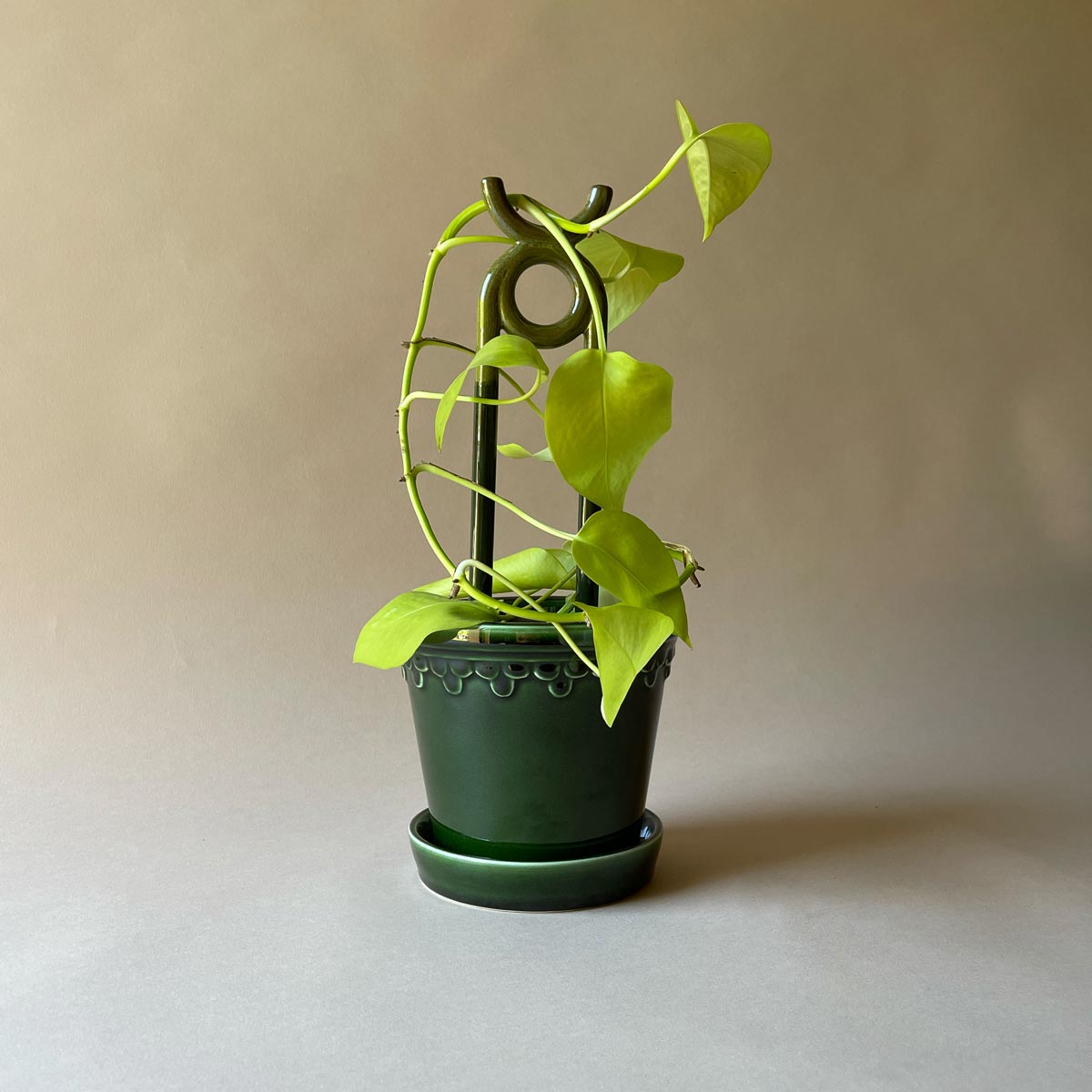 Folk Oni Moss Green