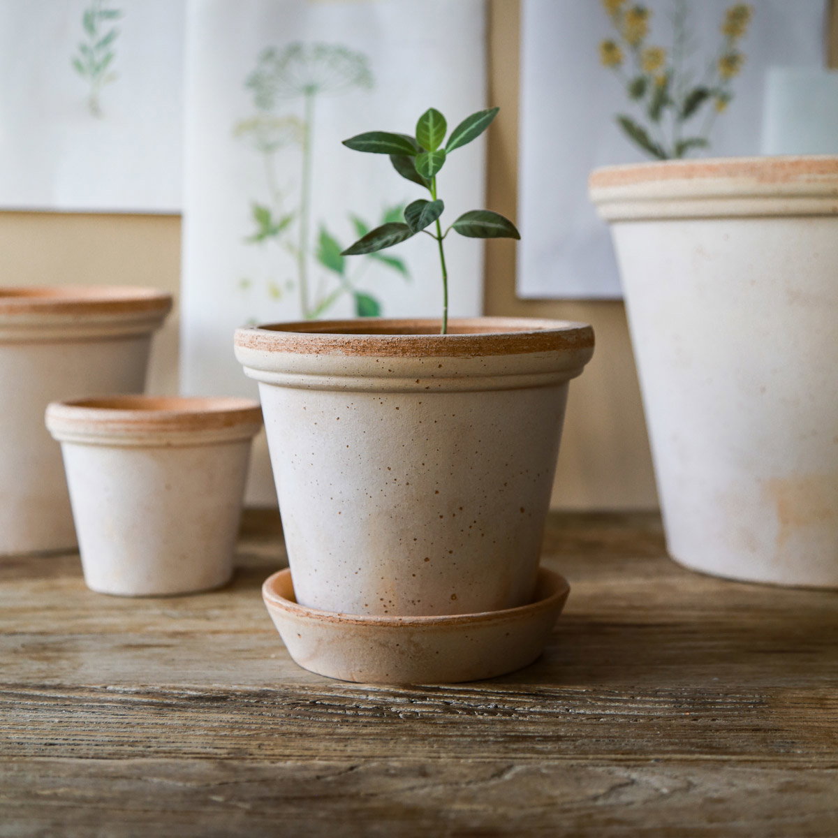 Flora Pot RAW Rosa