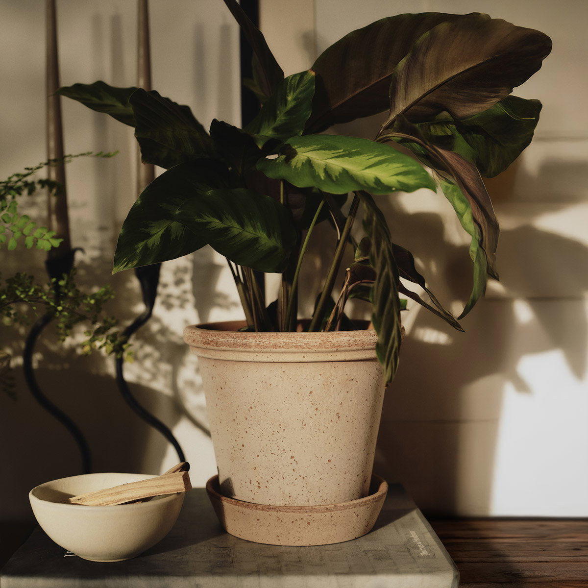 Flora Pot RAW Rosa