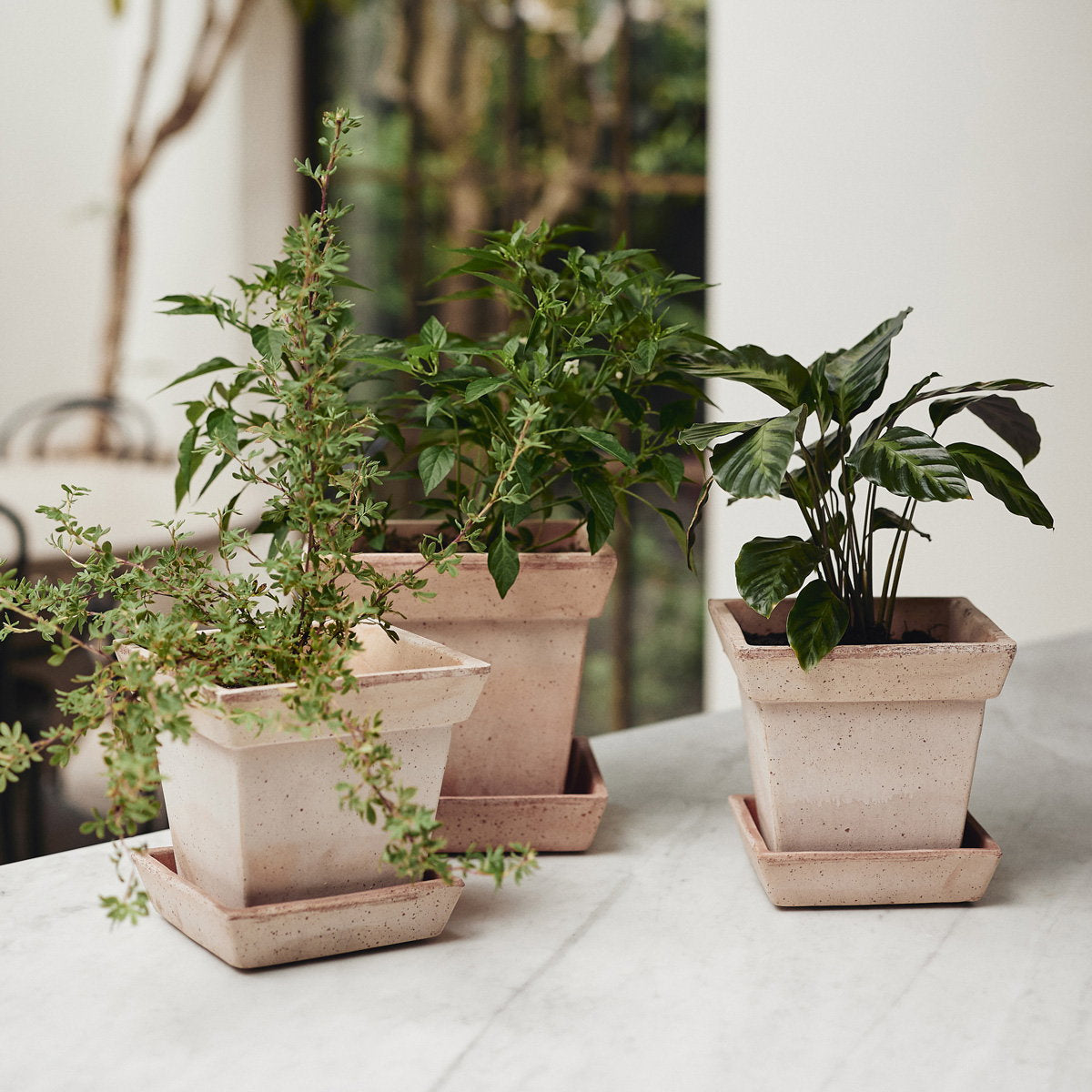 Gaia Pot RAW Rosa