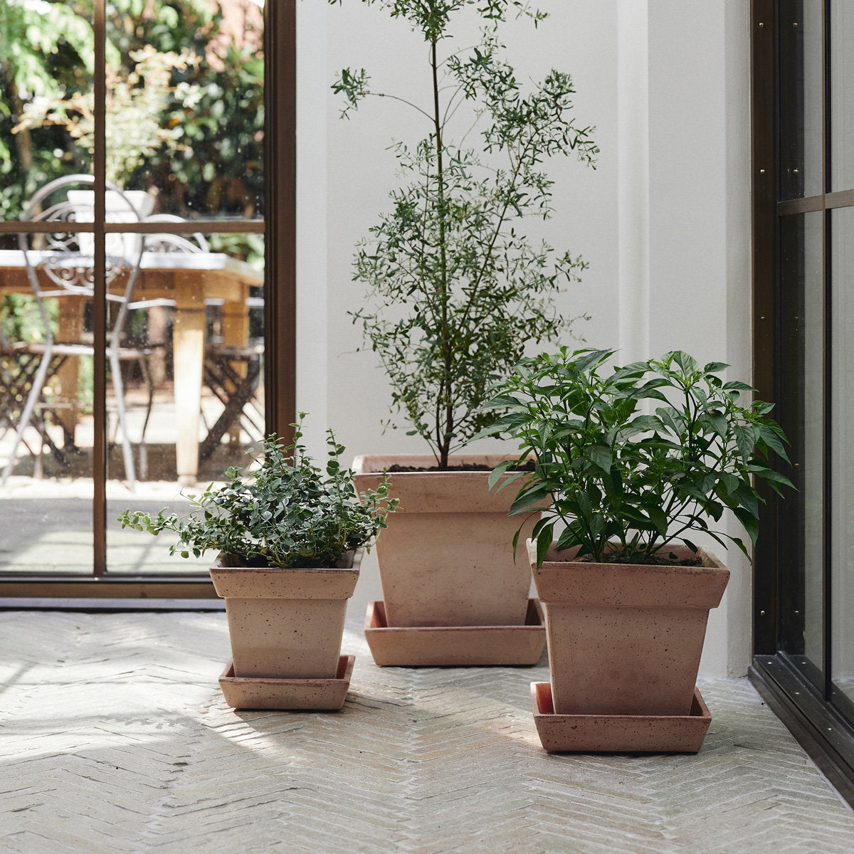 Gaia Pot RAW Rosa