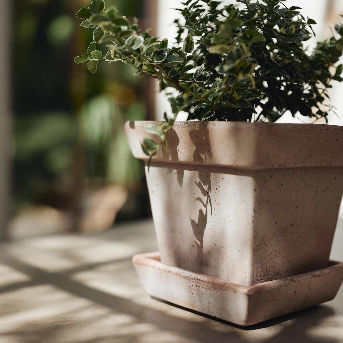 Gaia Pot RAW Rosa